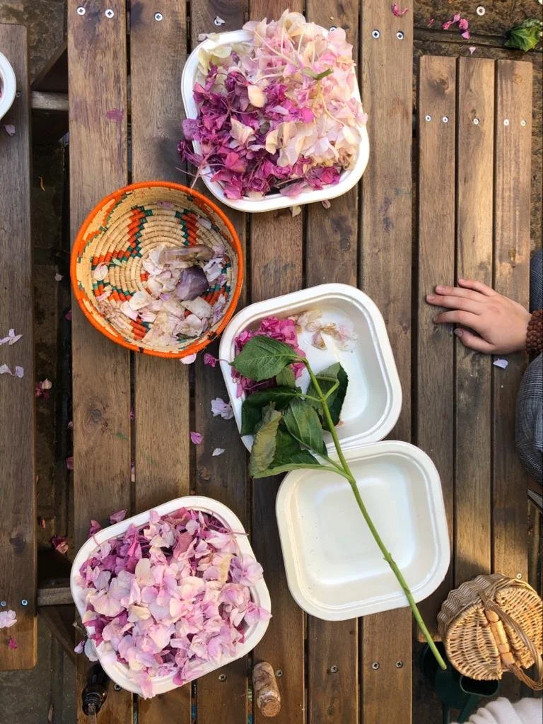 The garden as a classroom: What children learn when they grow their own food