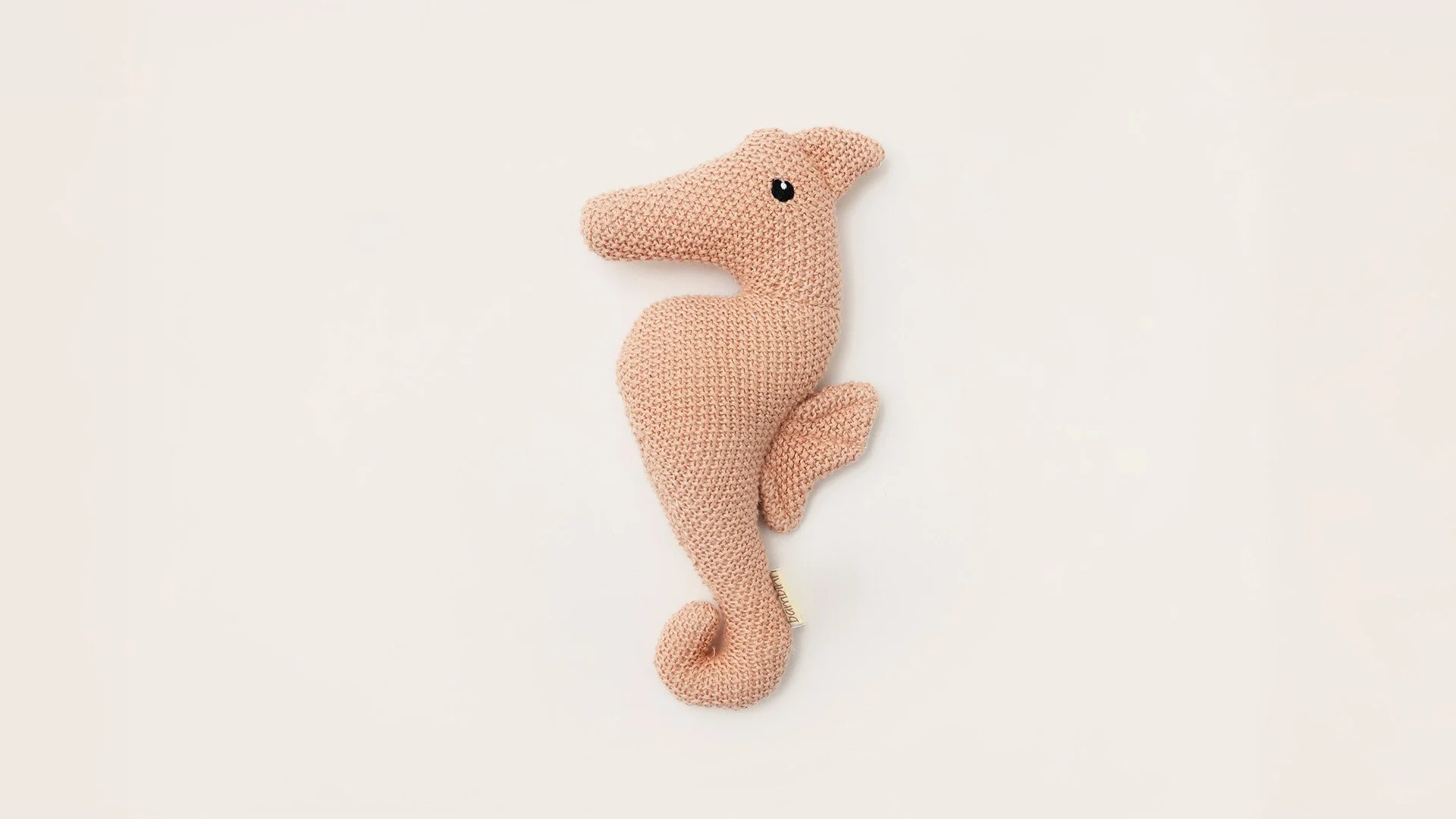 Seahorse-Orange.jpg
