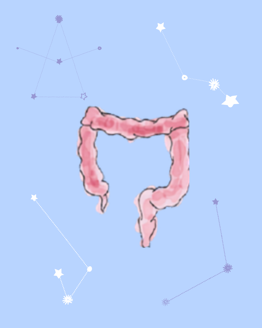 A soft watercolor illustration of the large intestine (colon) in warm pink tones. The background is a calming light blue, featuring minimalist white line-art constellations and twinkling stars.