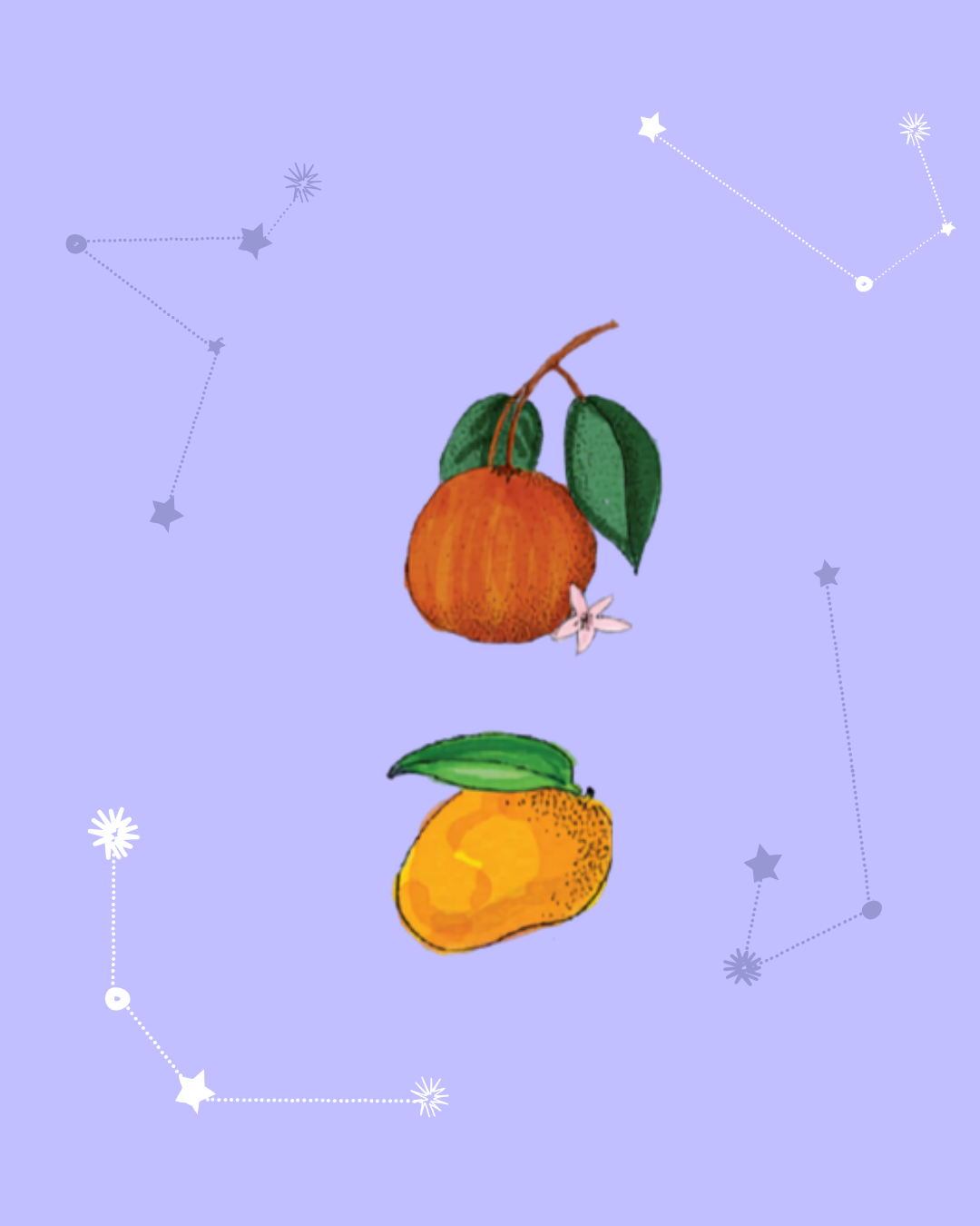 A soft watercolor  illustration of a whole orange with green leaves and a small white blossom, positioned above a ripe yellow mango. Set against a purple background with ethereal white star patterns and constellations.