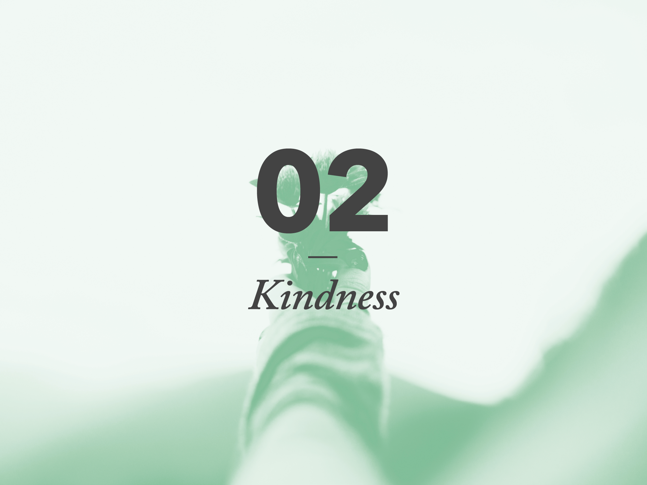 Understand what kindness looks like; think more deeply about how it is offered and received; and plan some acts of kindness.