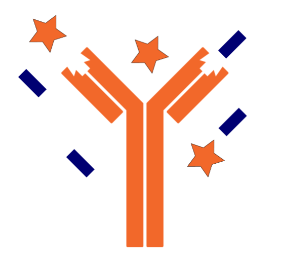 multibodies-animation.gif