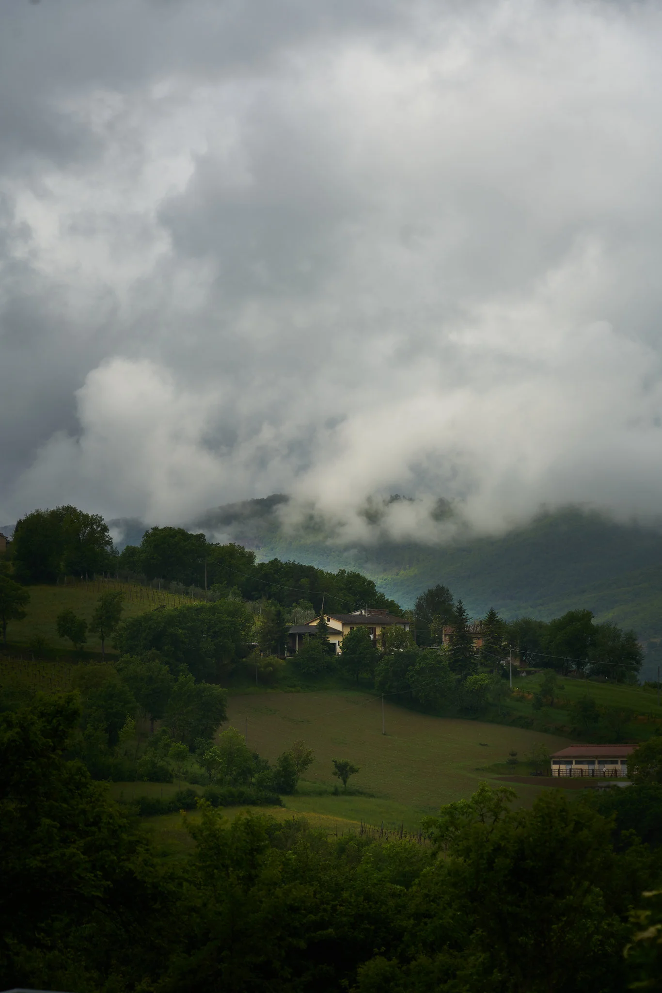 DSC07226