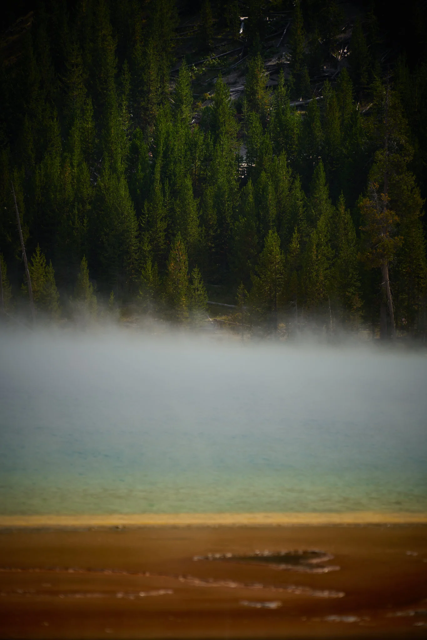 Yellowstone