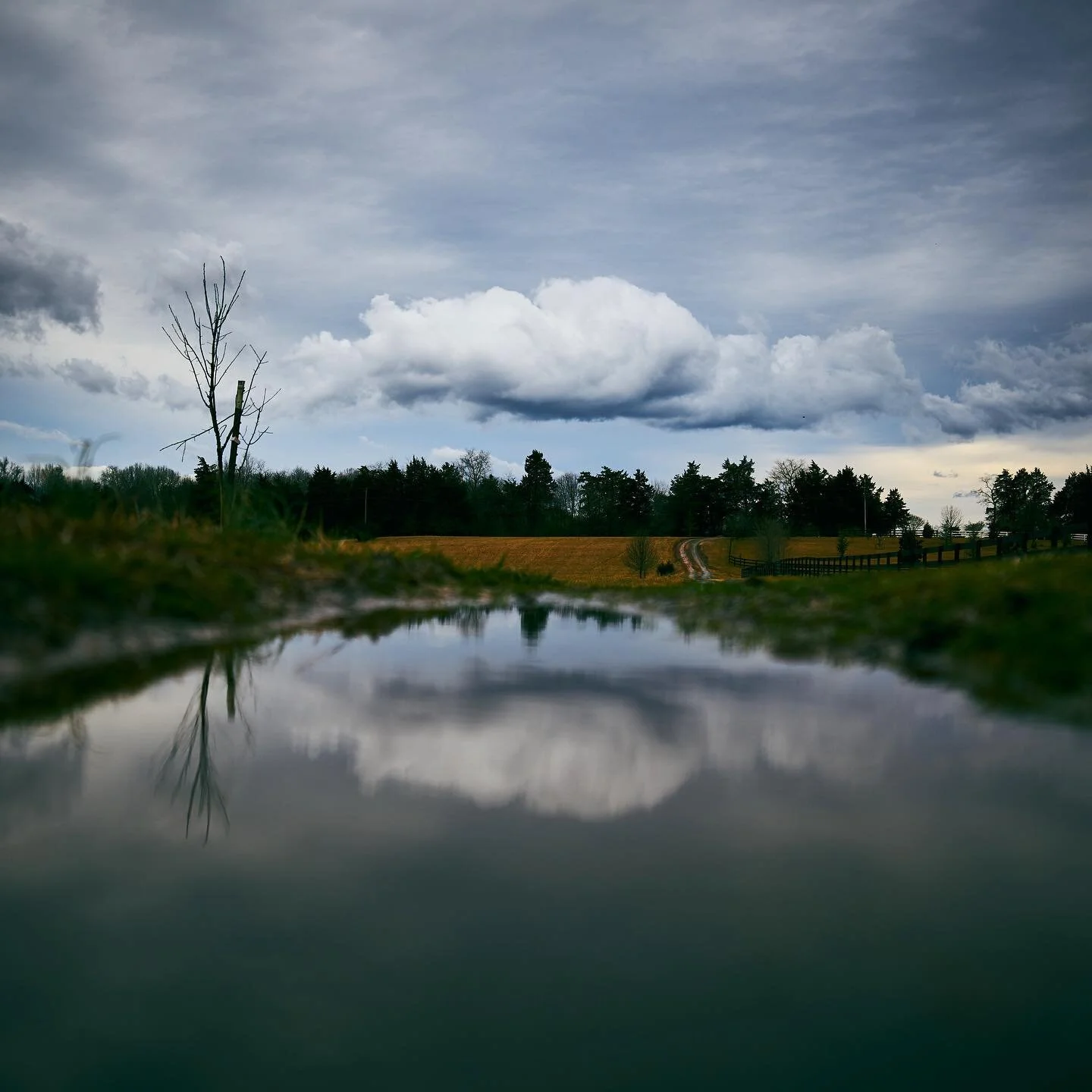 Clouds &amp; Puddles