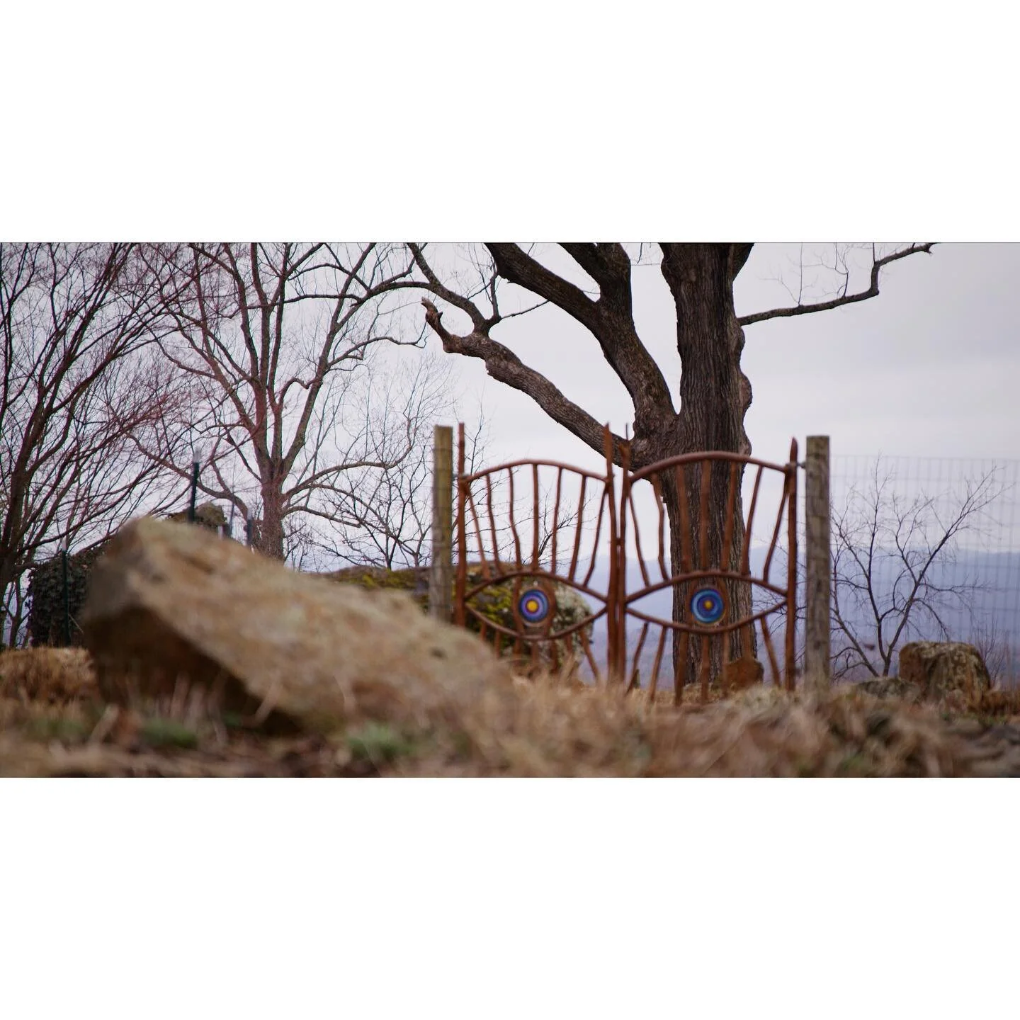 stills from a piece I&rsquo;m shooting. Such a magical place to work!