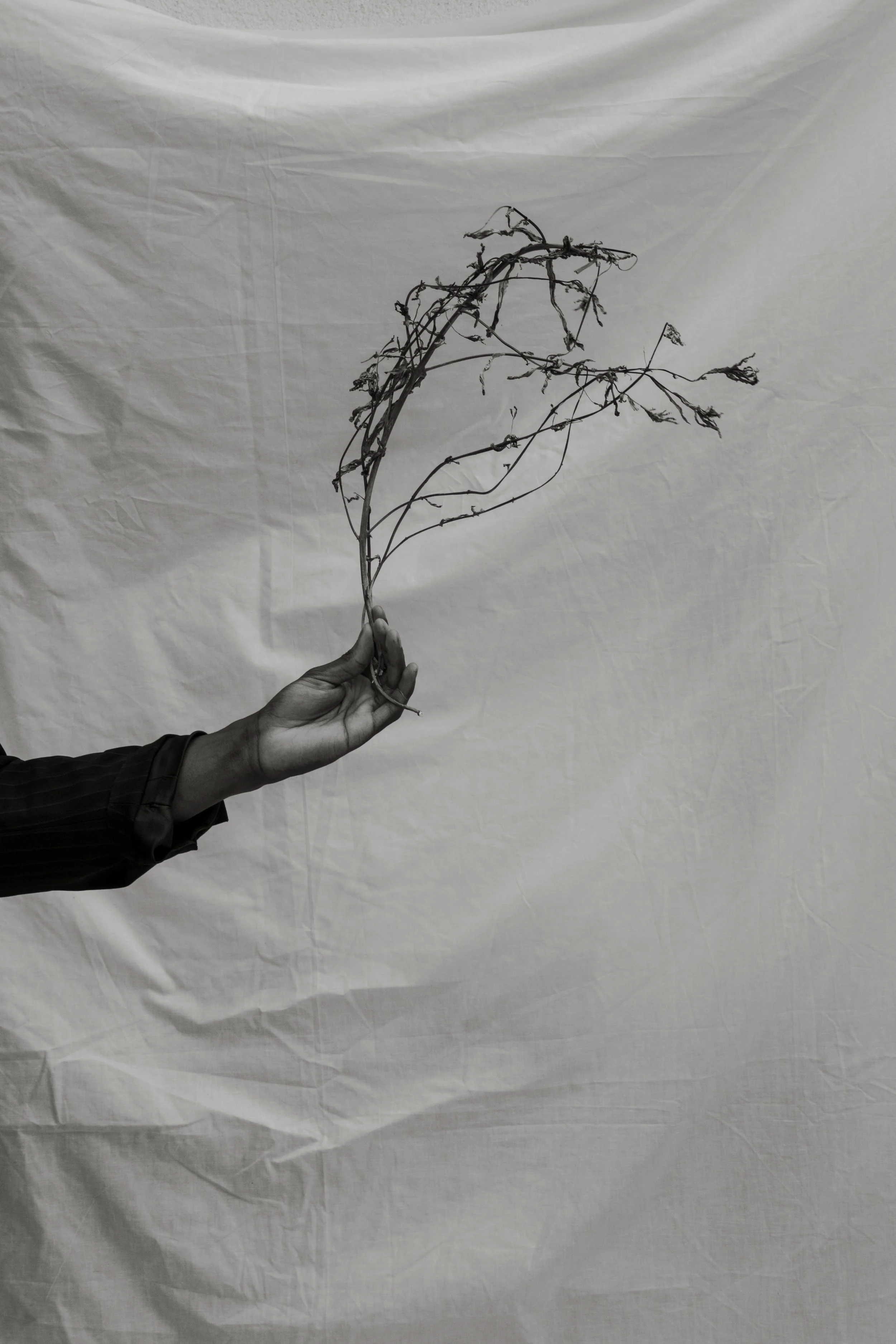 _MG_7839 ret web.jpg