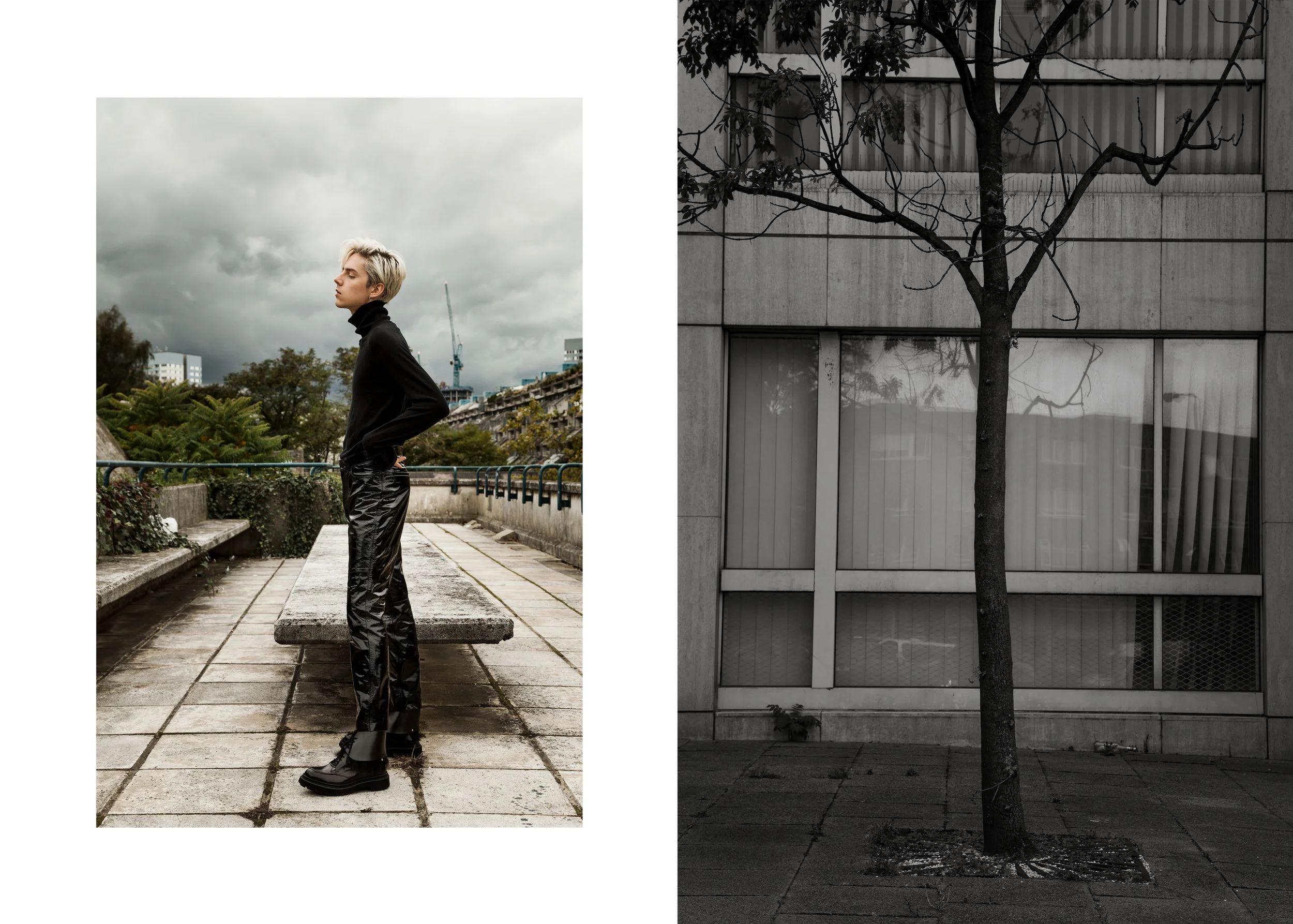 Dyptique Mikko 1.jpg