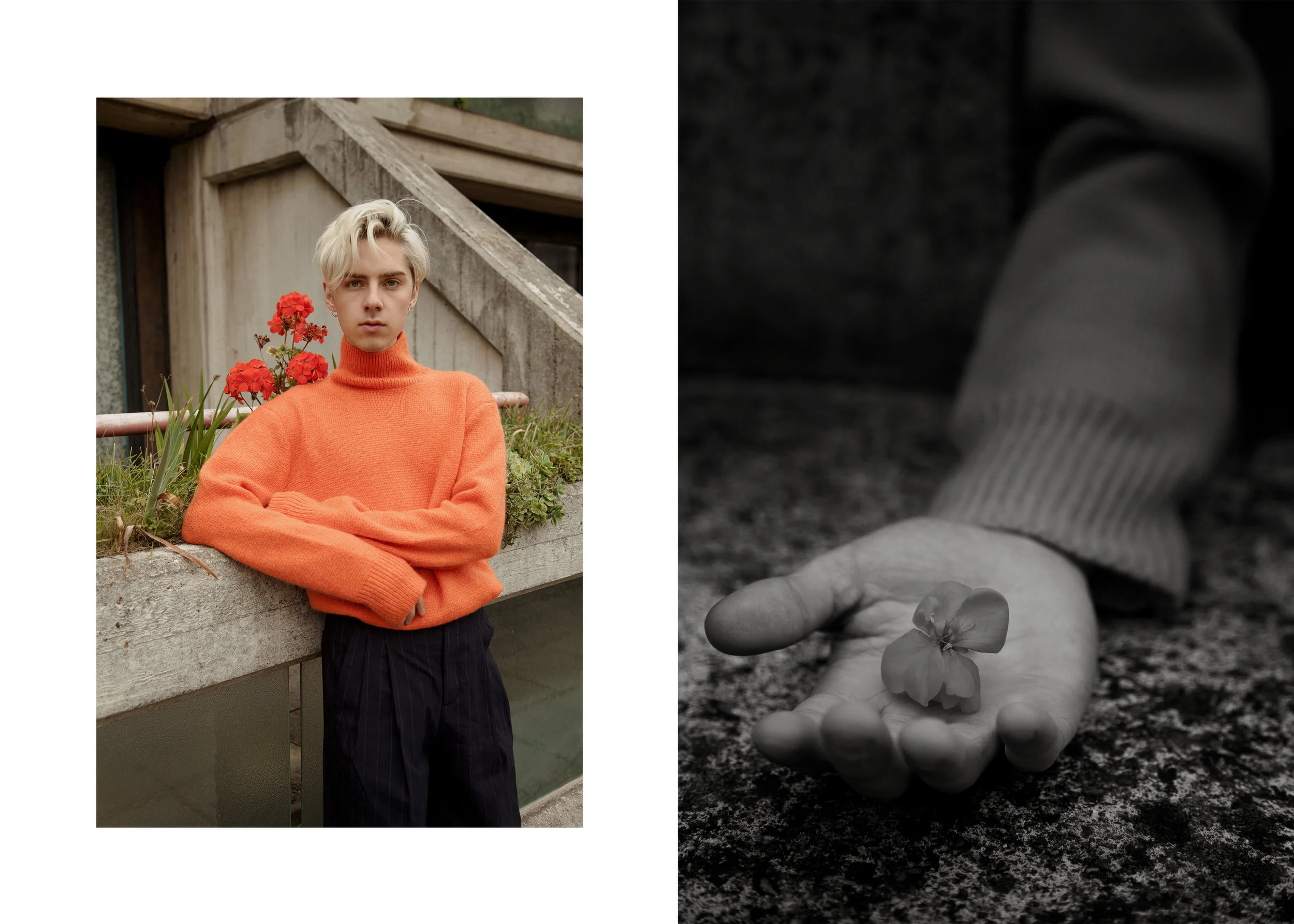 Dyptique Mikko 6.jpg