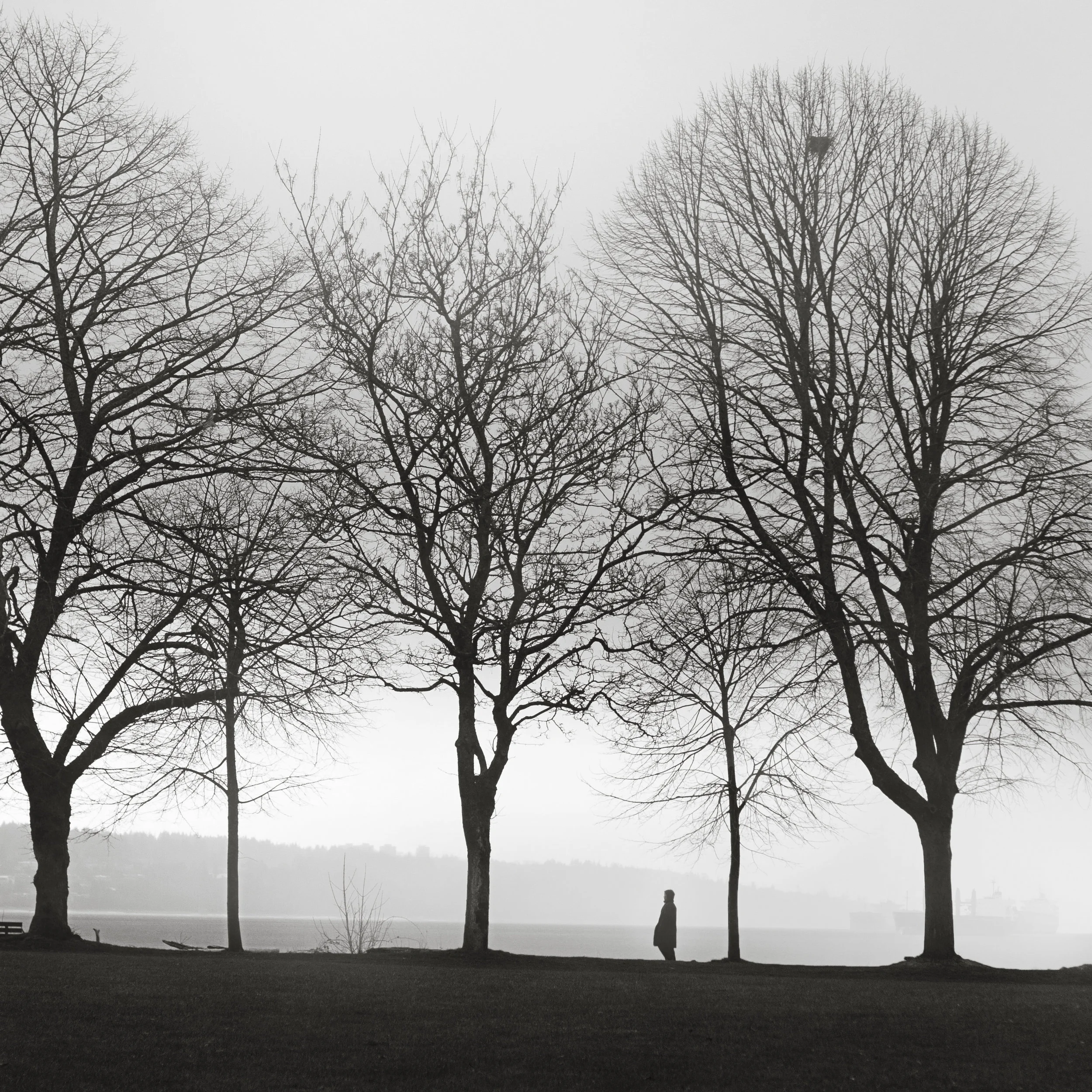 The woman and the mist nb.jpg