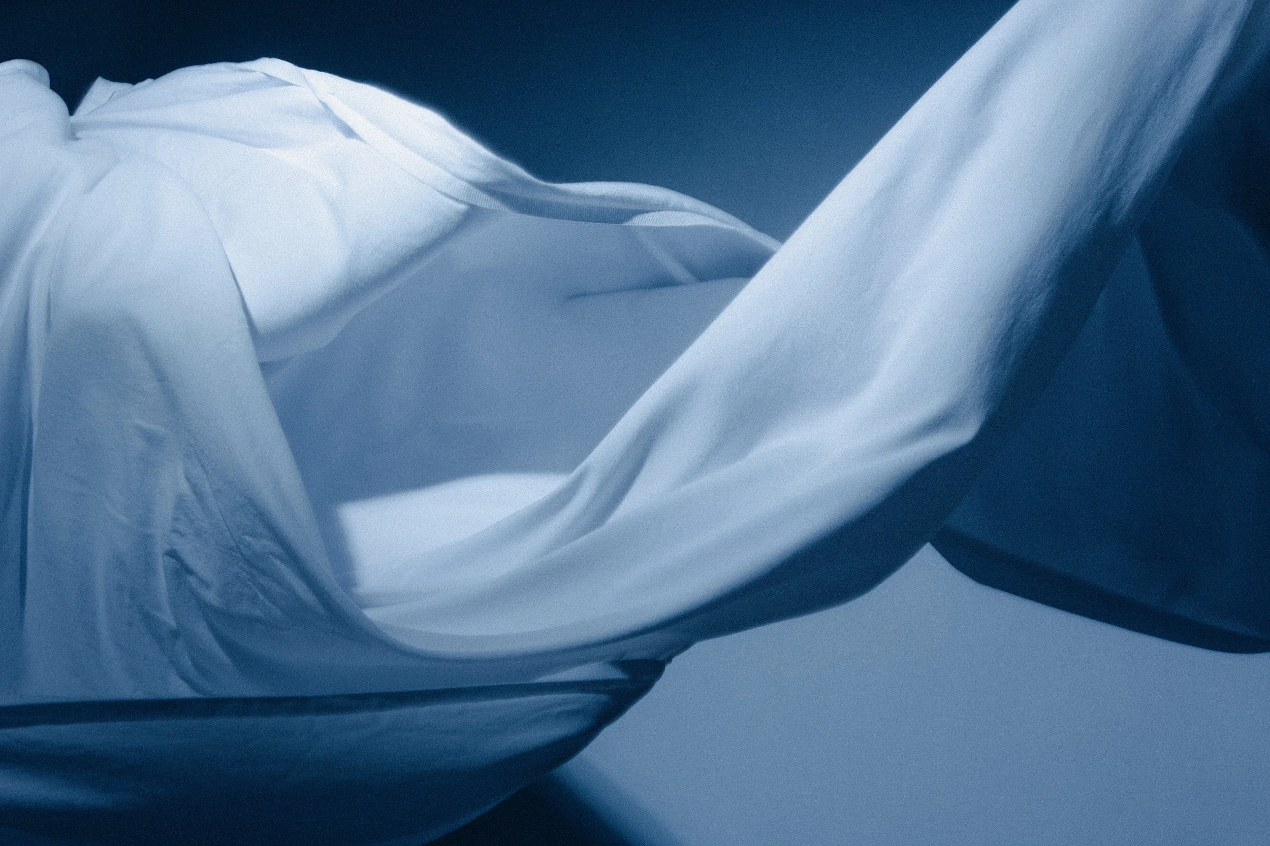 341B2945-2 color.jpg