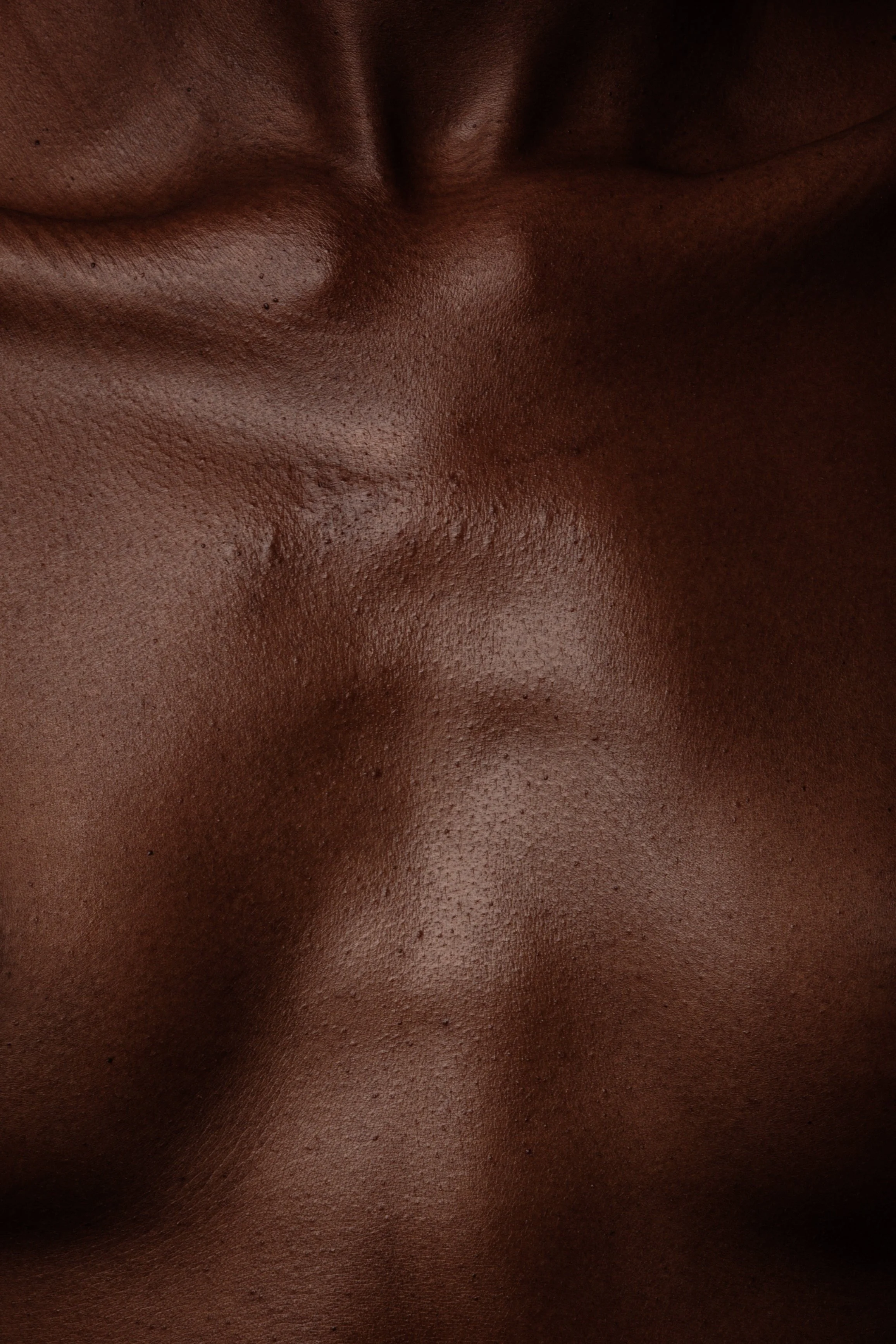 Hertility_day_1.472 ret.jpg