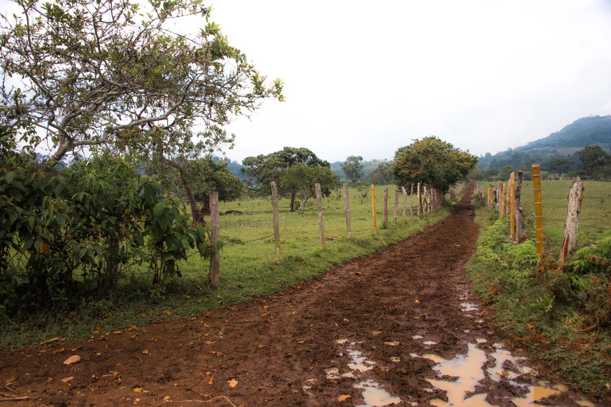 Colombia 071 © 2018 Janina Laszlo.jpg