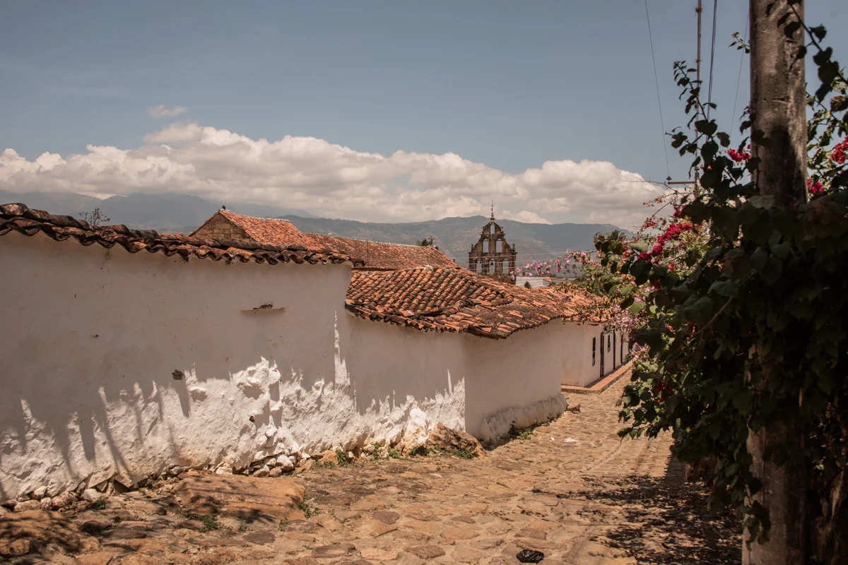 Guane