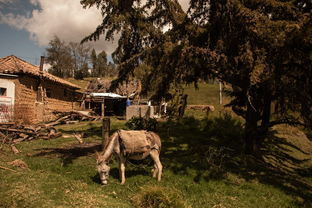Colombia 421 © 2018 Janina Laszlo.jpg