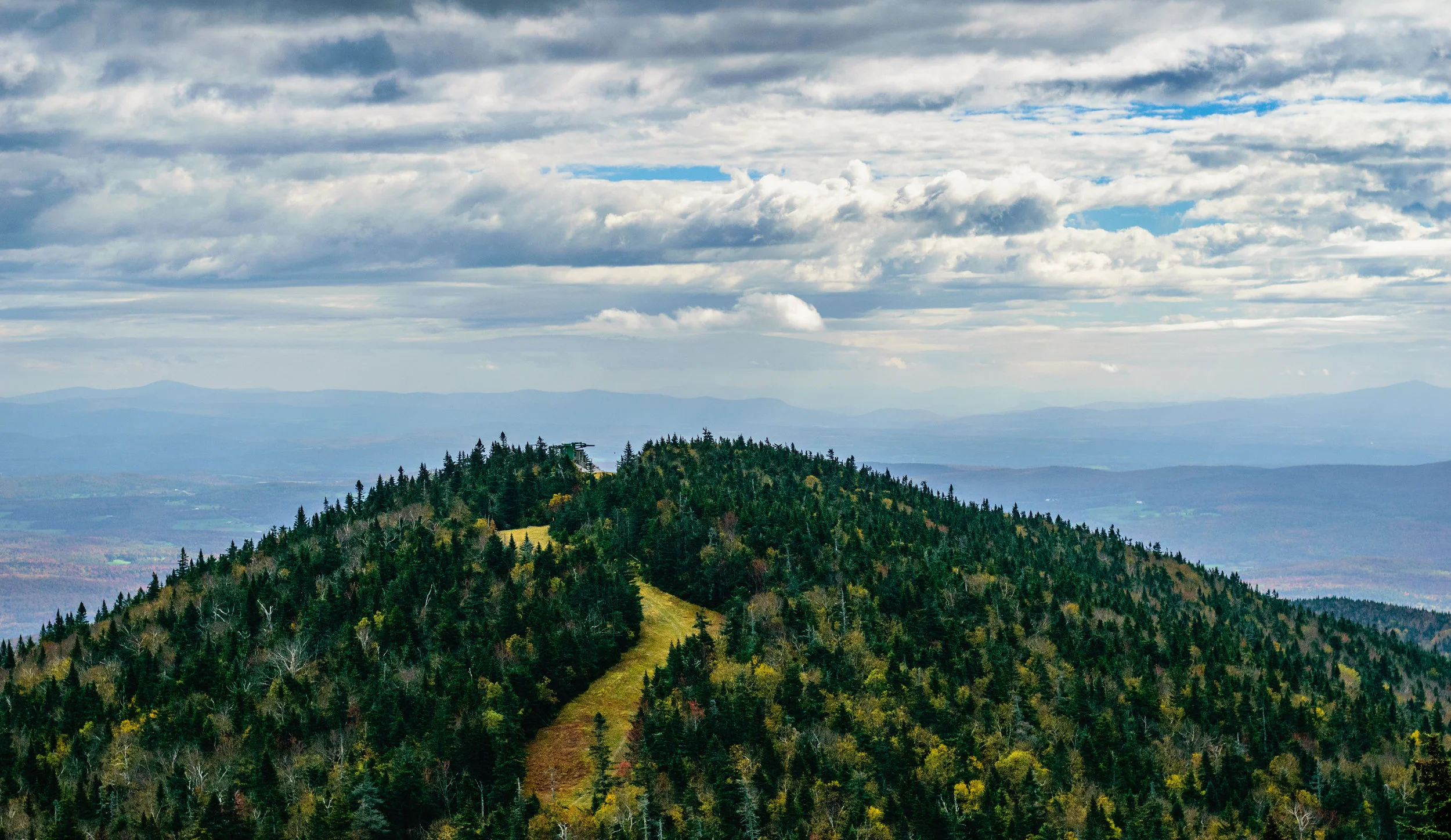 AdobeStock_175769230.jpeg