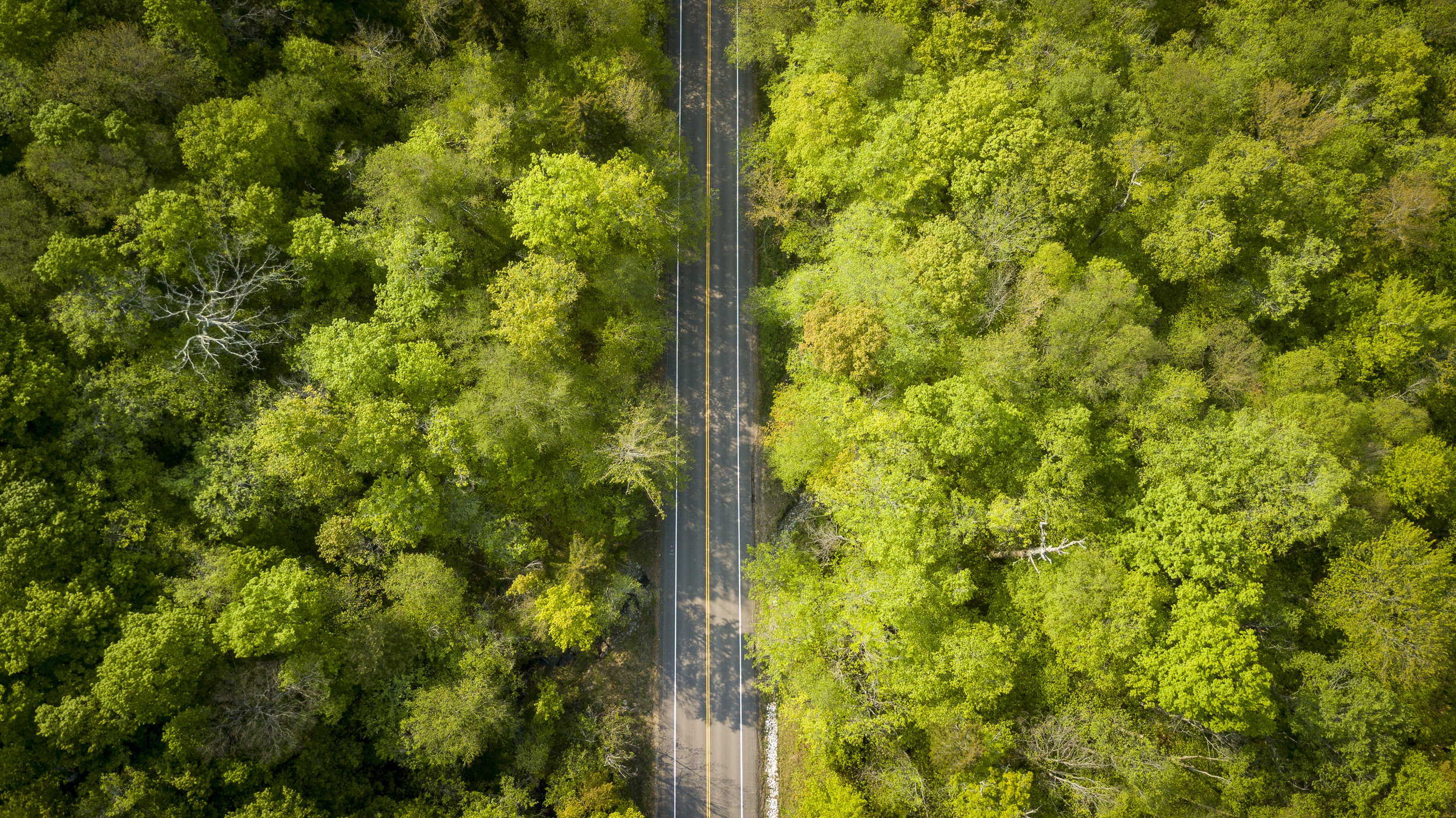 AdobeStock_207024792.jpeg