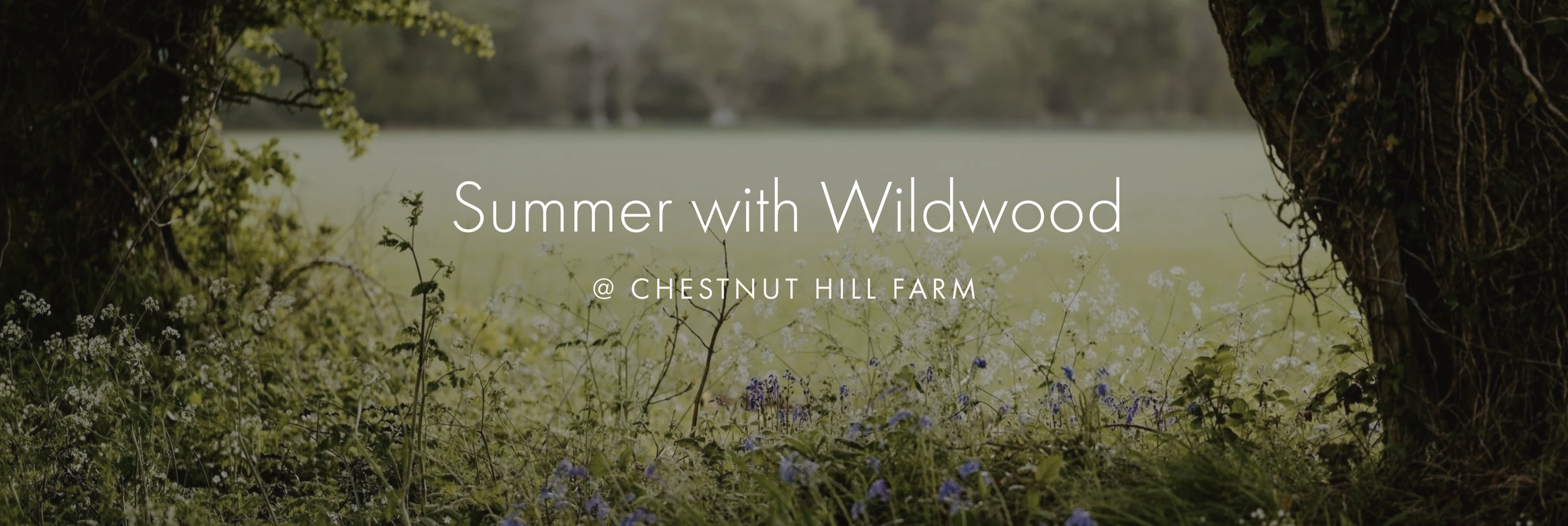 Screenshot 2025-12-22 at 9.34.45 AM.png