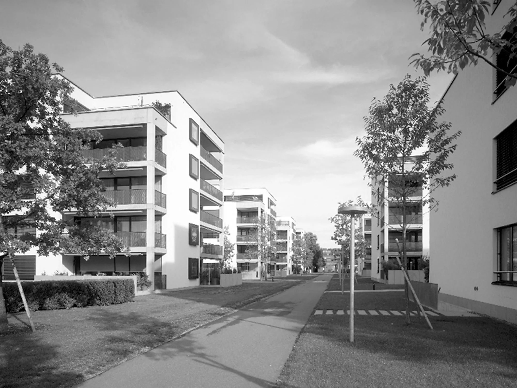 gartenstadt-schlieren-2.jpg