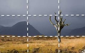 rules-of-thirds-example-3.jpg