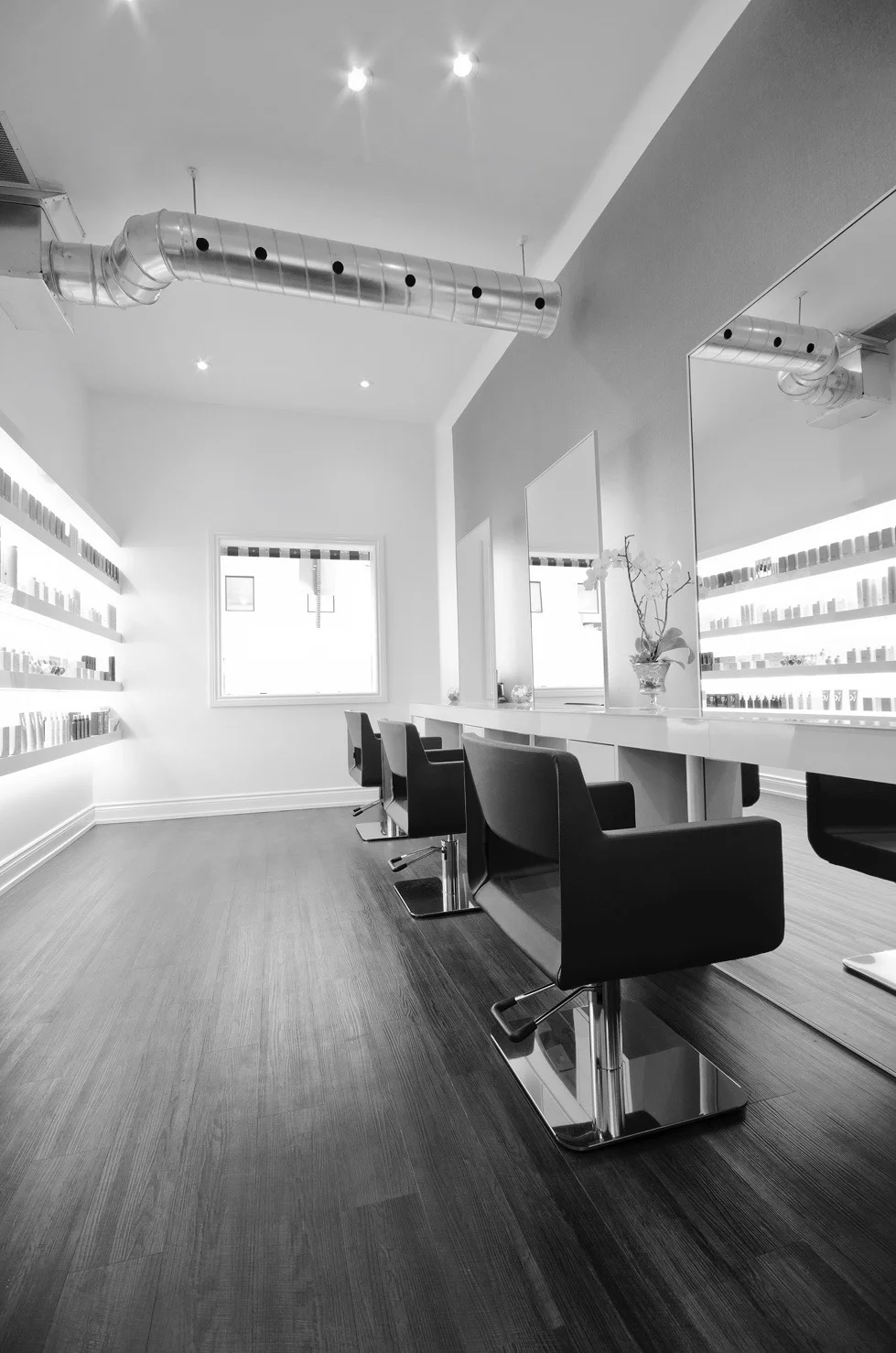 Studio 3 Salon Hair Studio in the Heart of the Kingsway