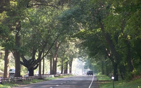 Merritt Parkway in Connecticut / Image: State of Connecticut