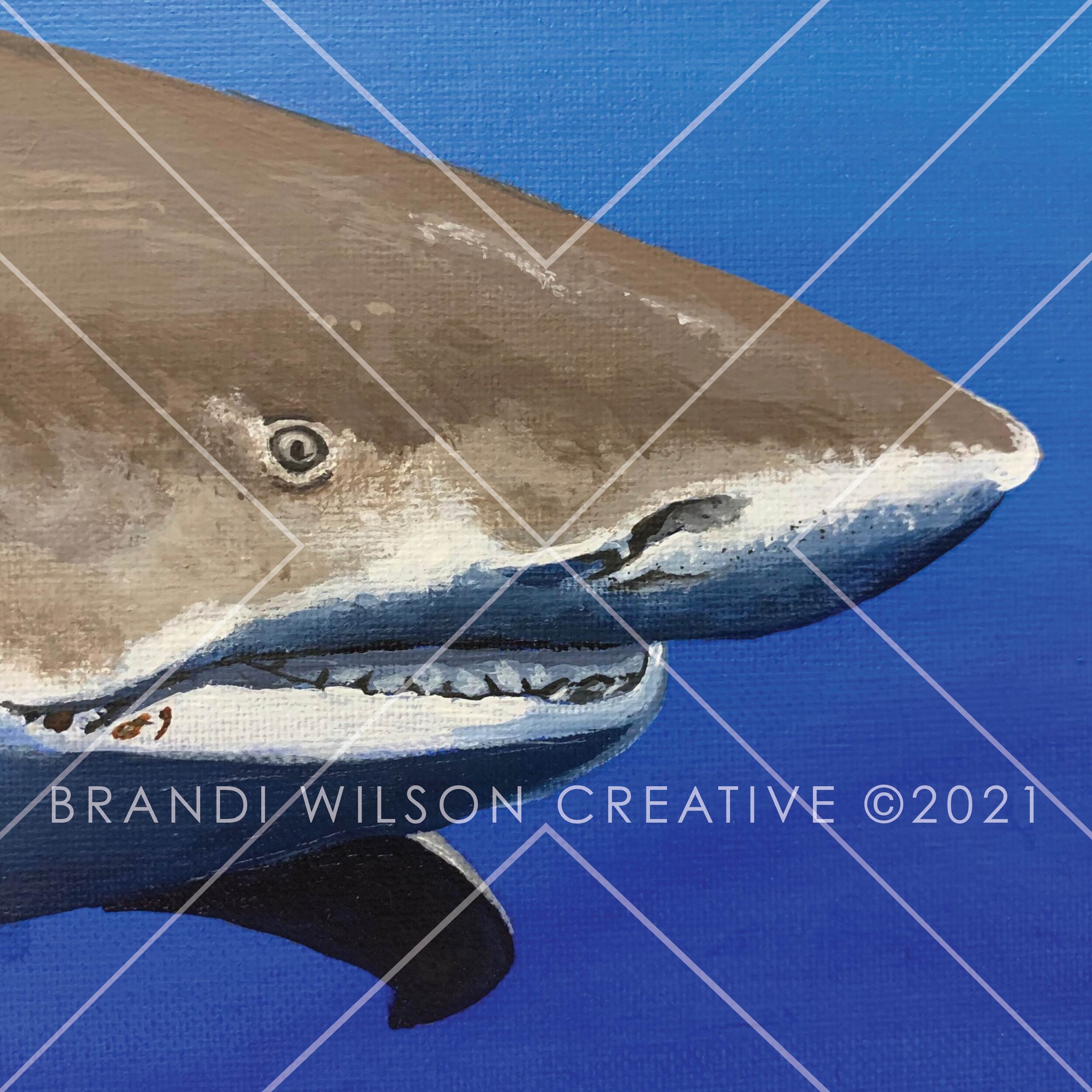 Lemon-Shark-2-01.jpg