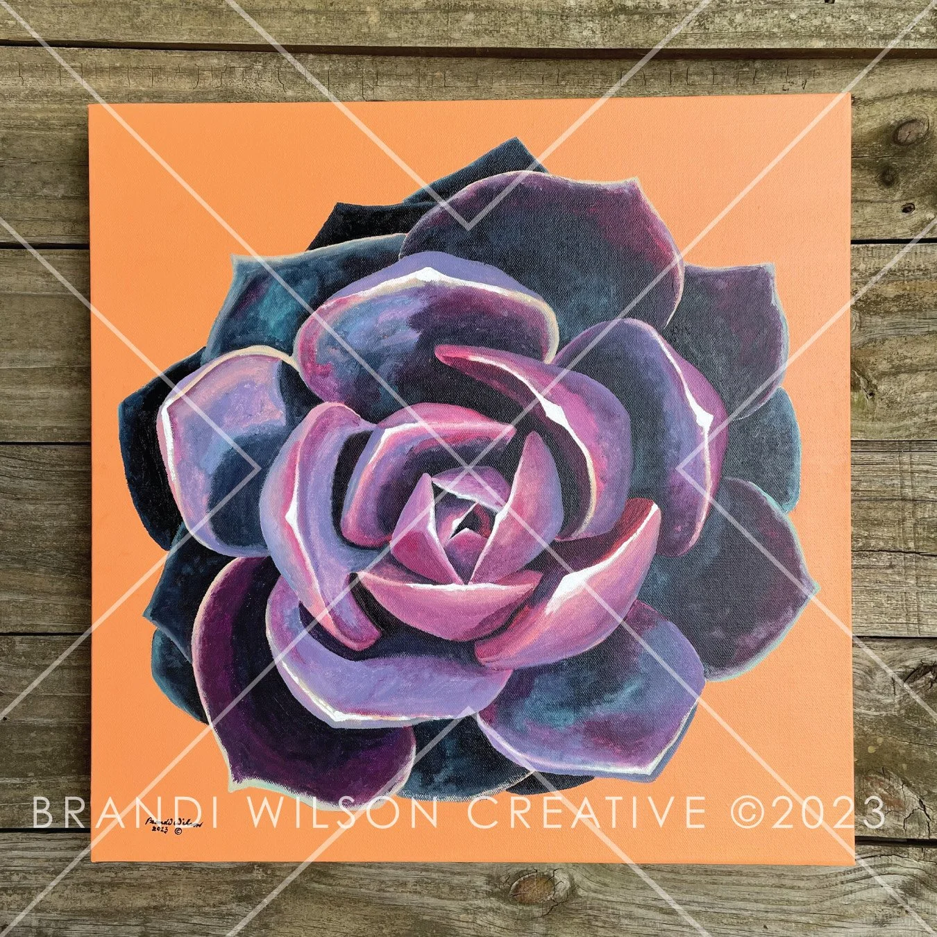 SUCCULENT #4