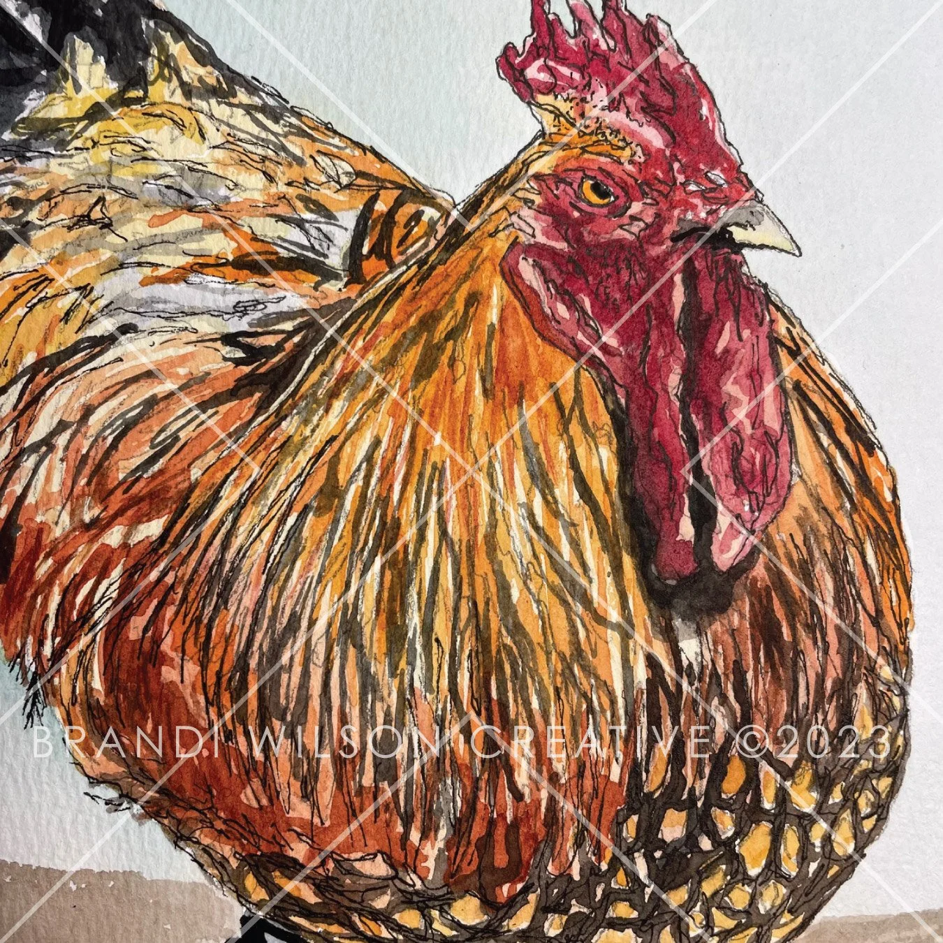 Rooster-Watercolor-2023-2-01.JPG