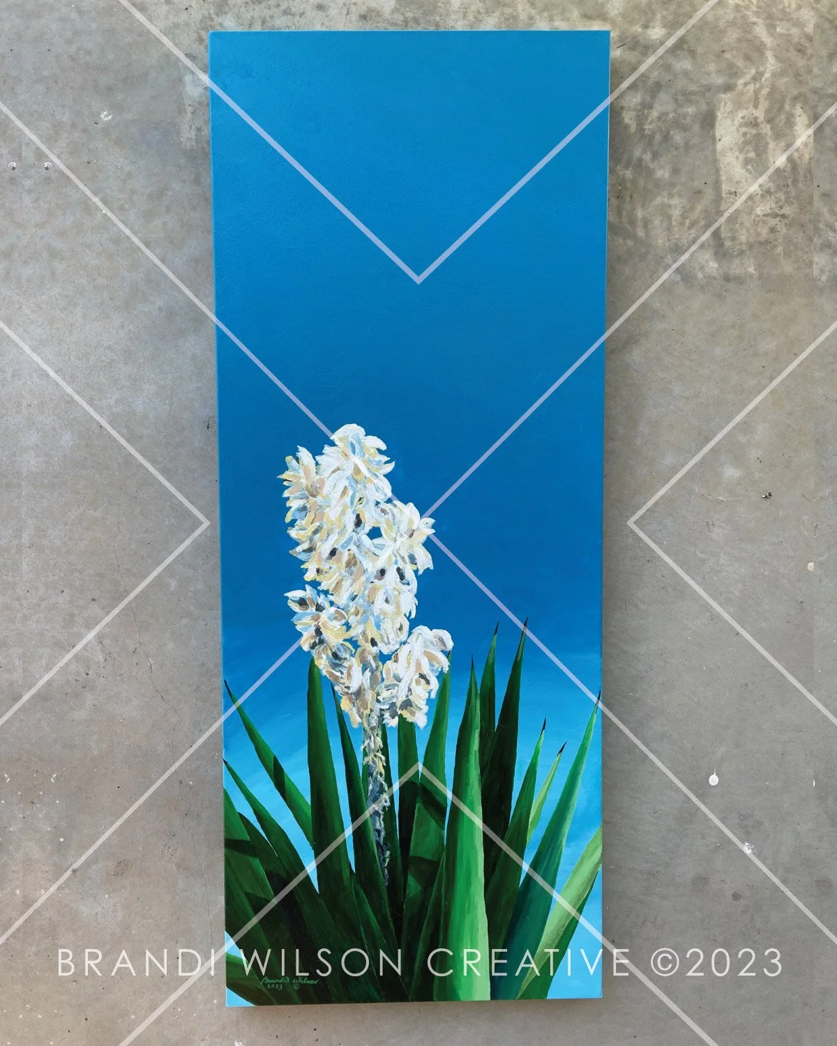 Long-Tall-Yucca-1-01.JPG