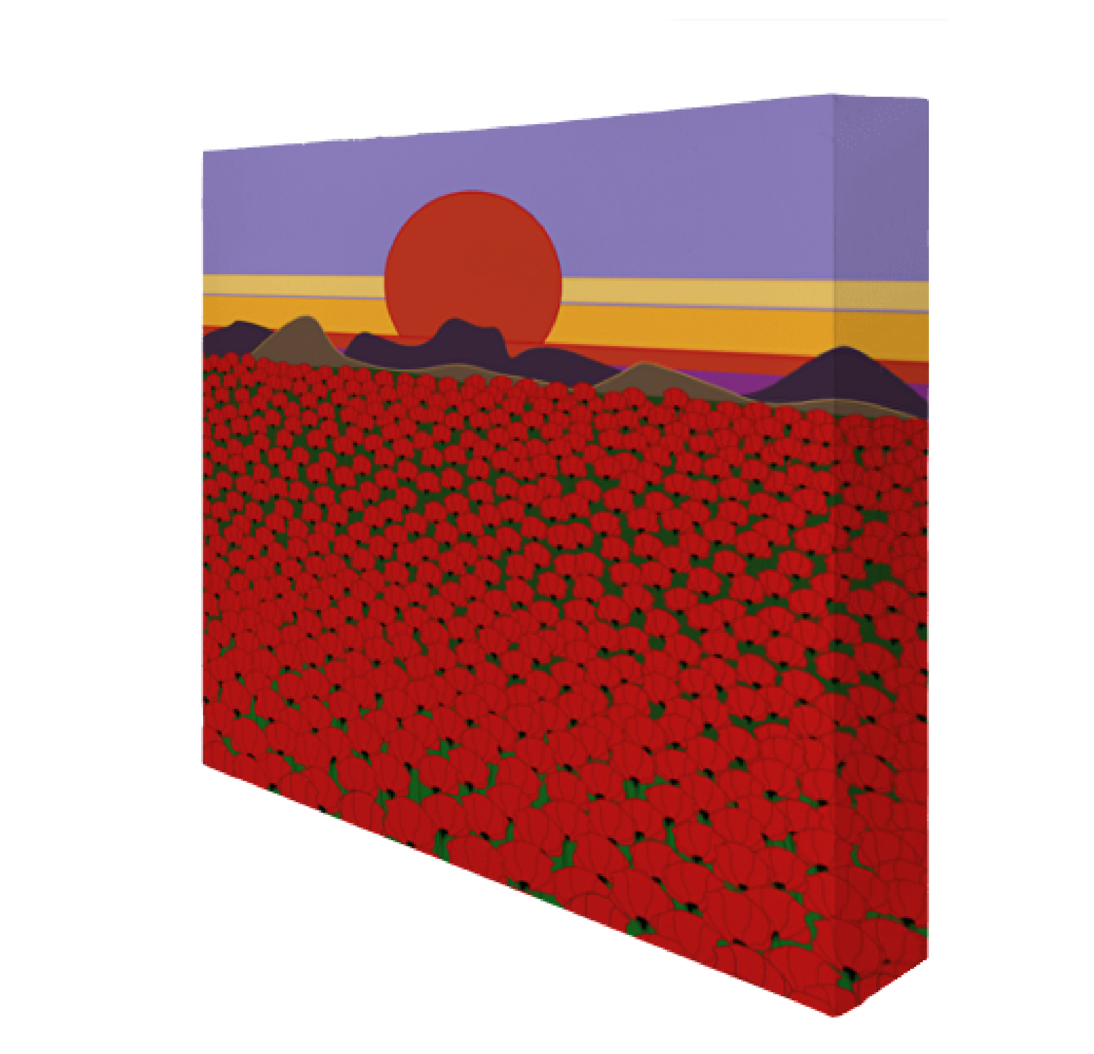 Lienzo cuadrado Amapolas vista 2-01.png