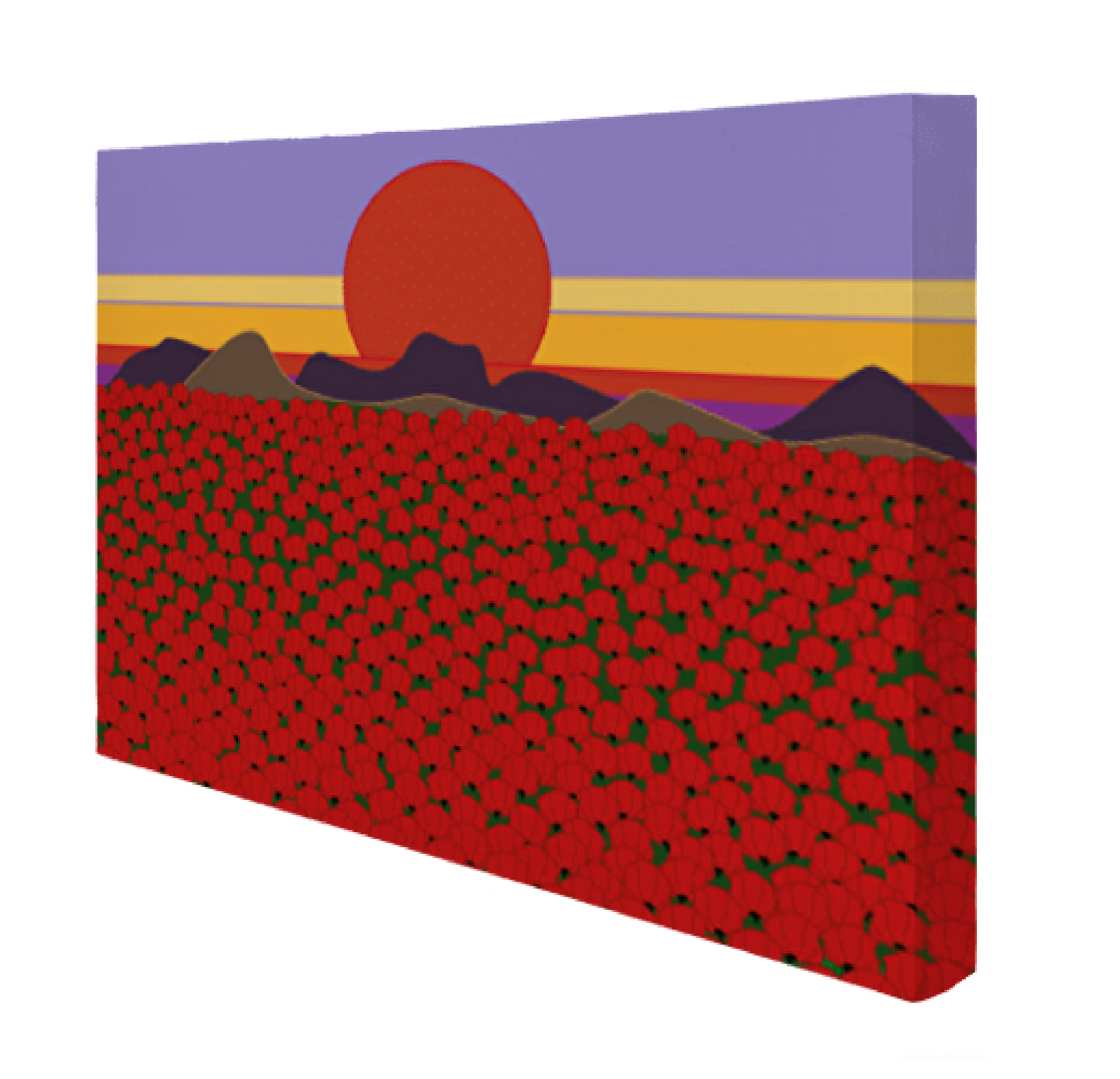 Lienzo rectangular 3D Amapolas vista 2-01.png