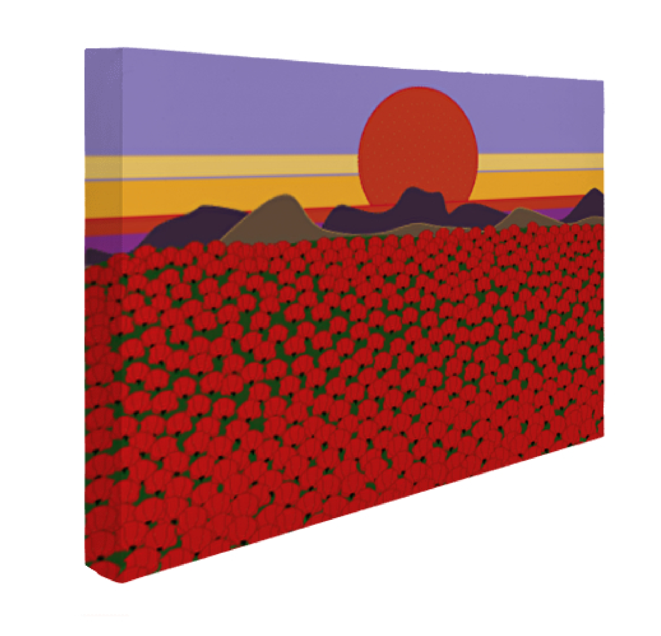 Lienzo rectangular 3D Amapolas vista 1-01.png