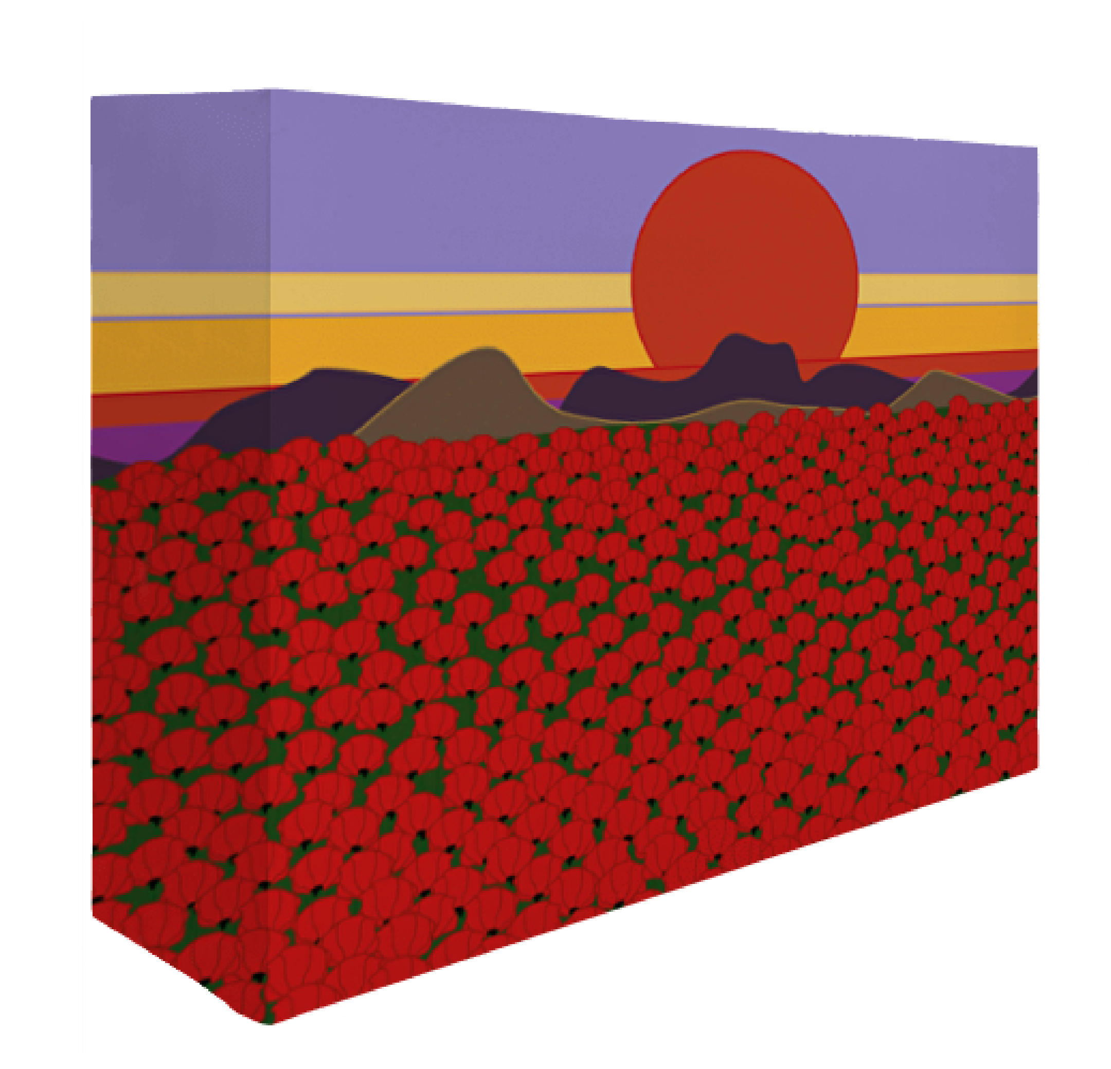 Lienzo rectangular 15 x 20 cms Amapolas vista 1-01.png