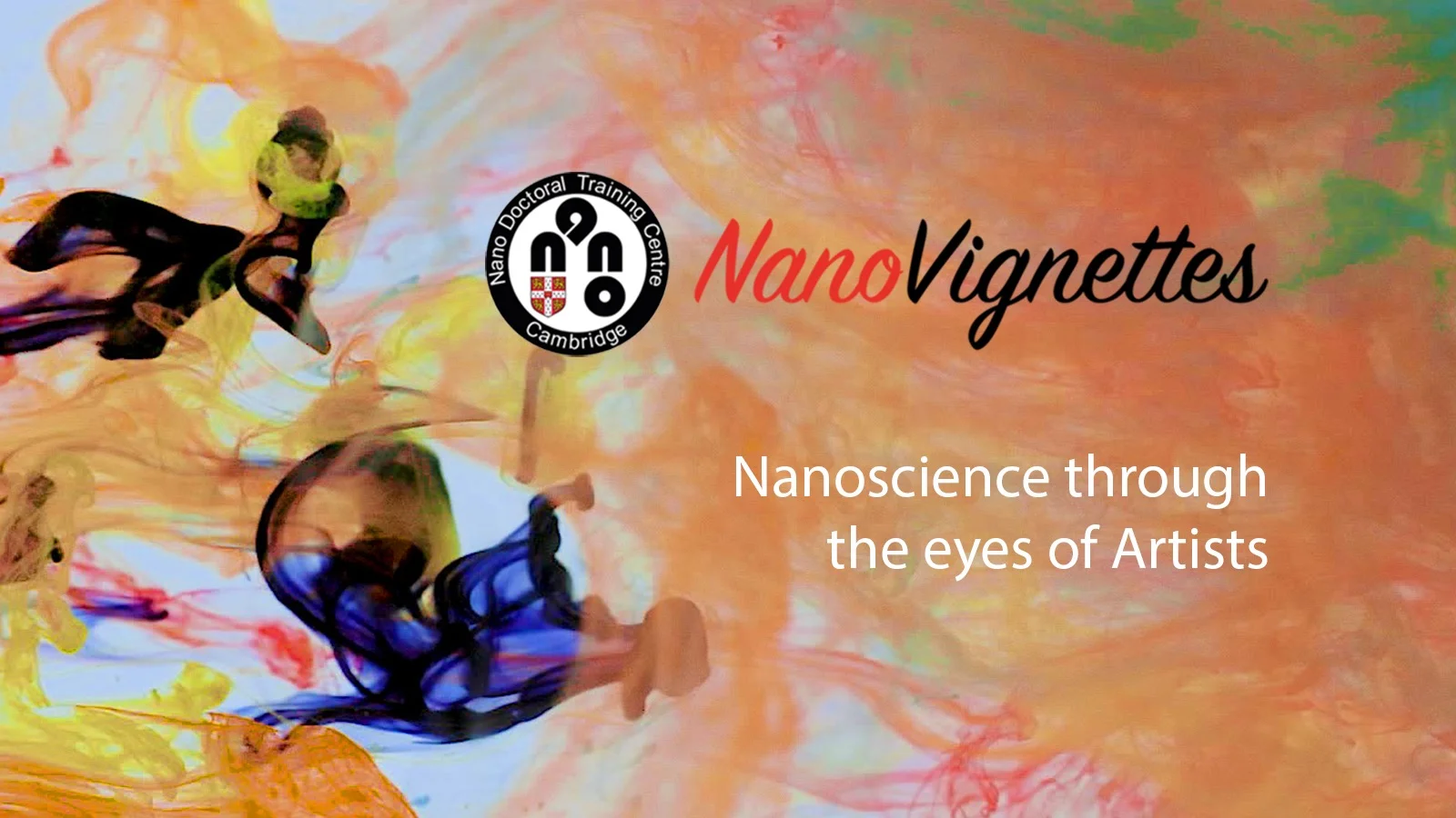 View NanoVignettes Website