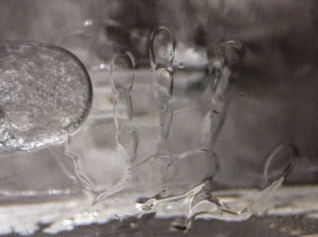 melting-handprint-on-ice-block_1_33576056863_o.jpg