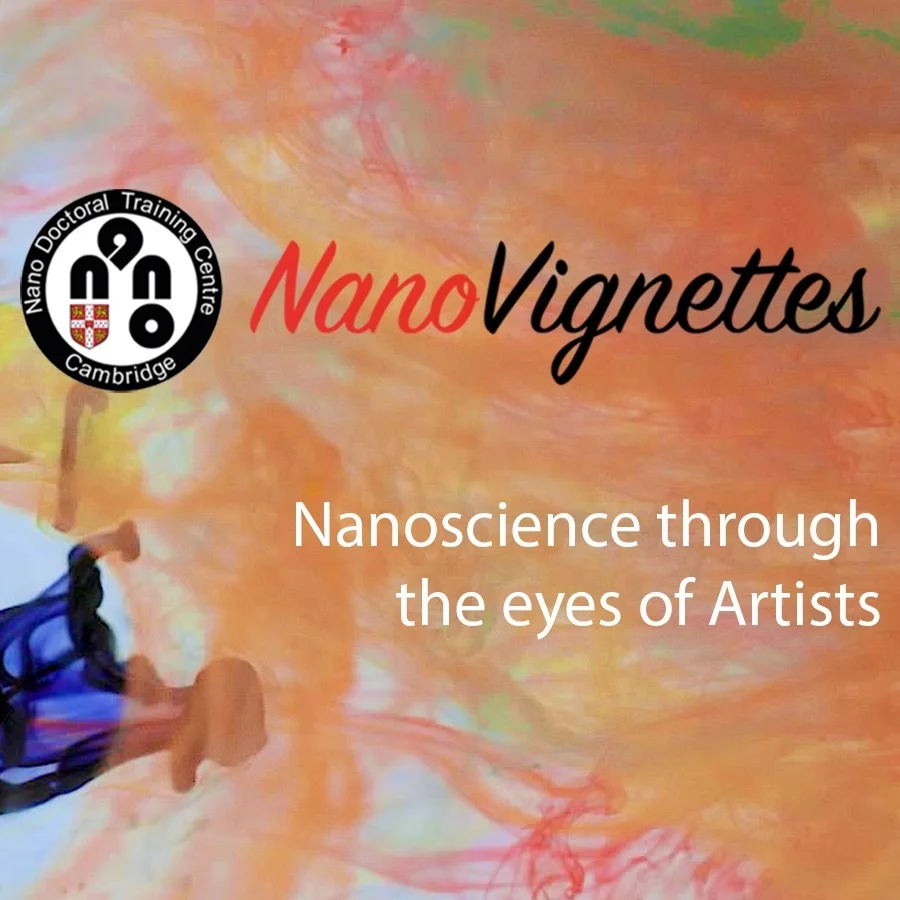   View NanoVignettes Website  