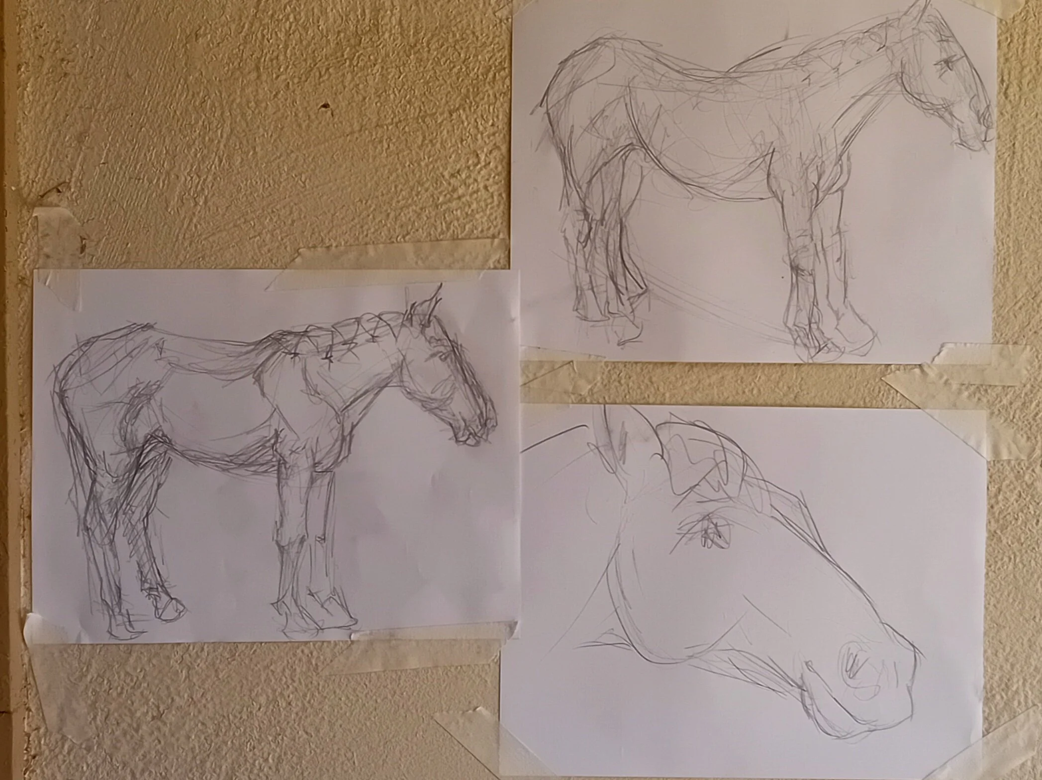20250813_123054.jpg