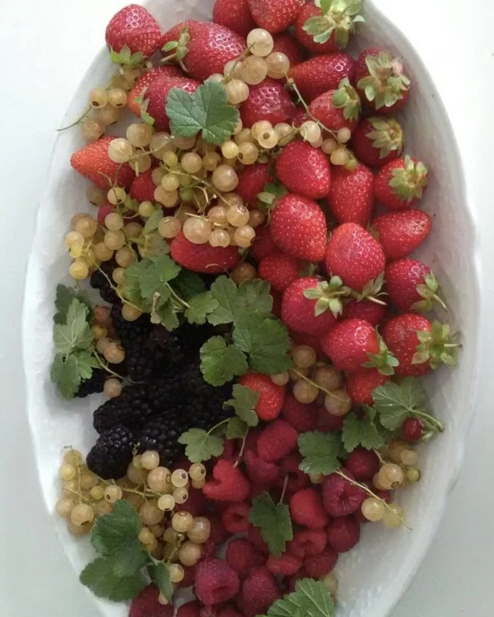 IMG_6047.jpg
