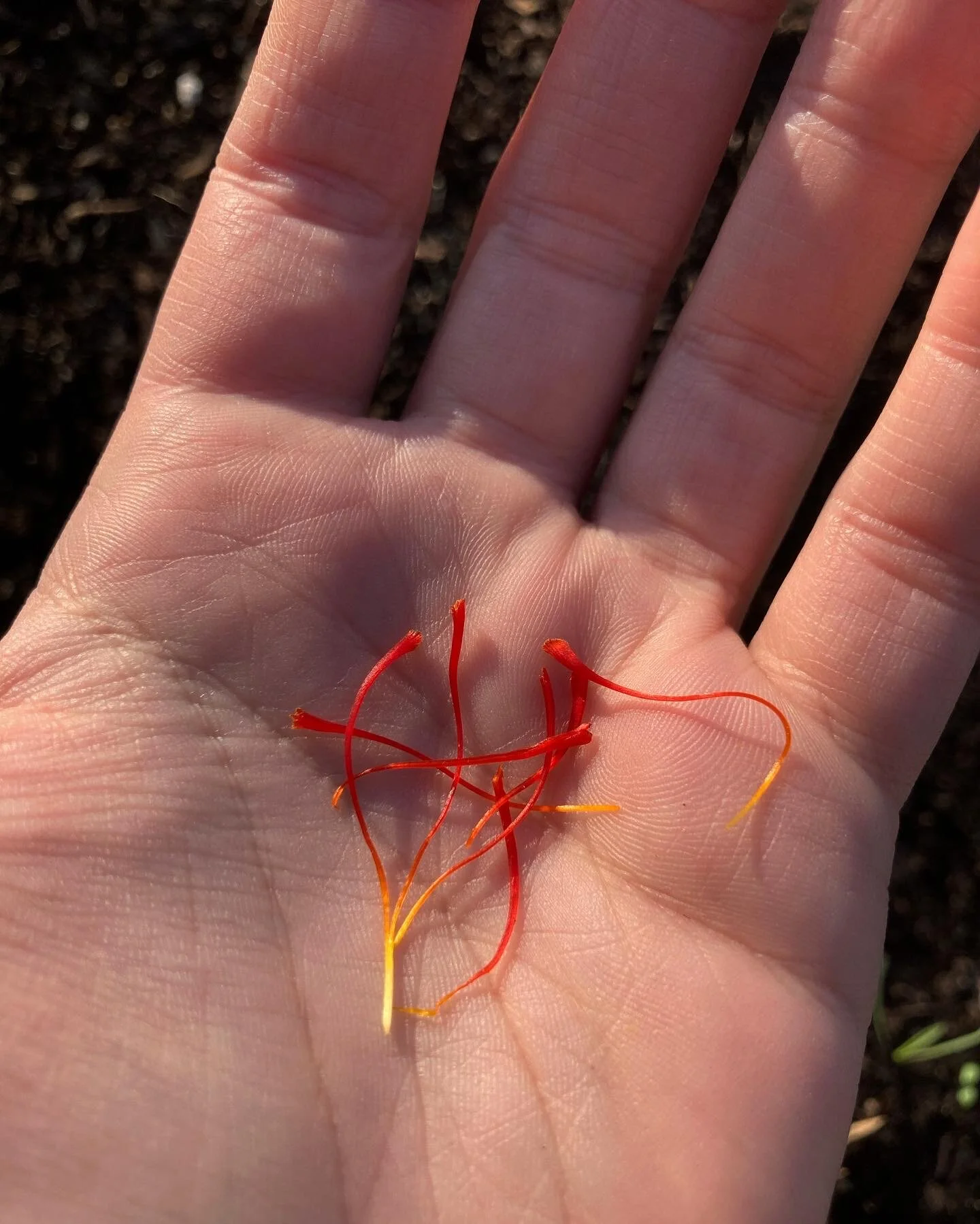 24D60FCD-F6AB-42F3-8960-2FDE3E242068