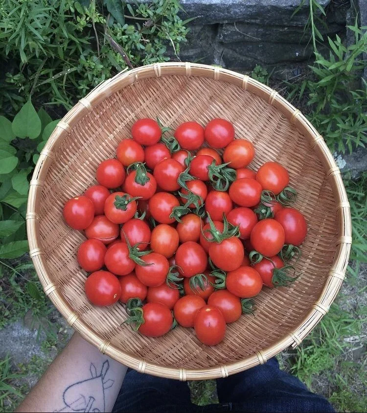 They are not ours, but we love them like they are