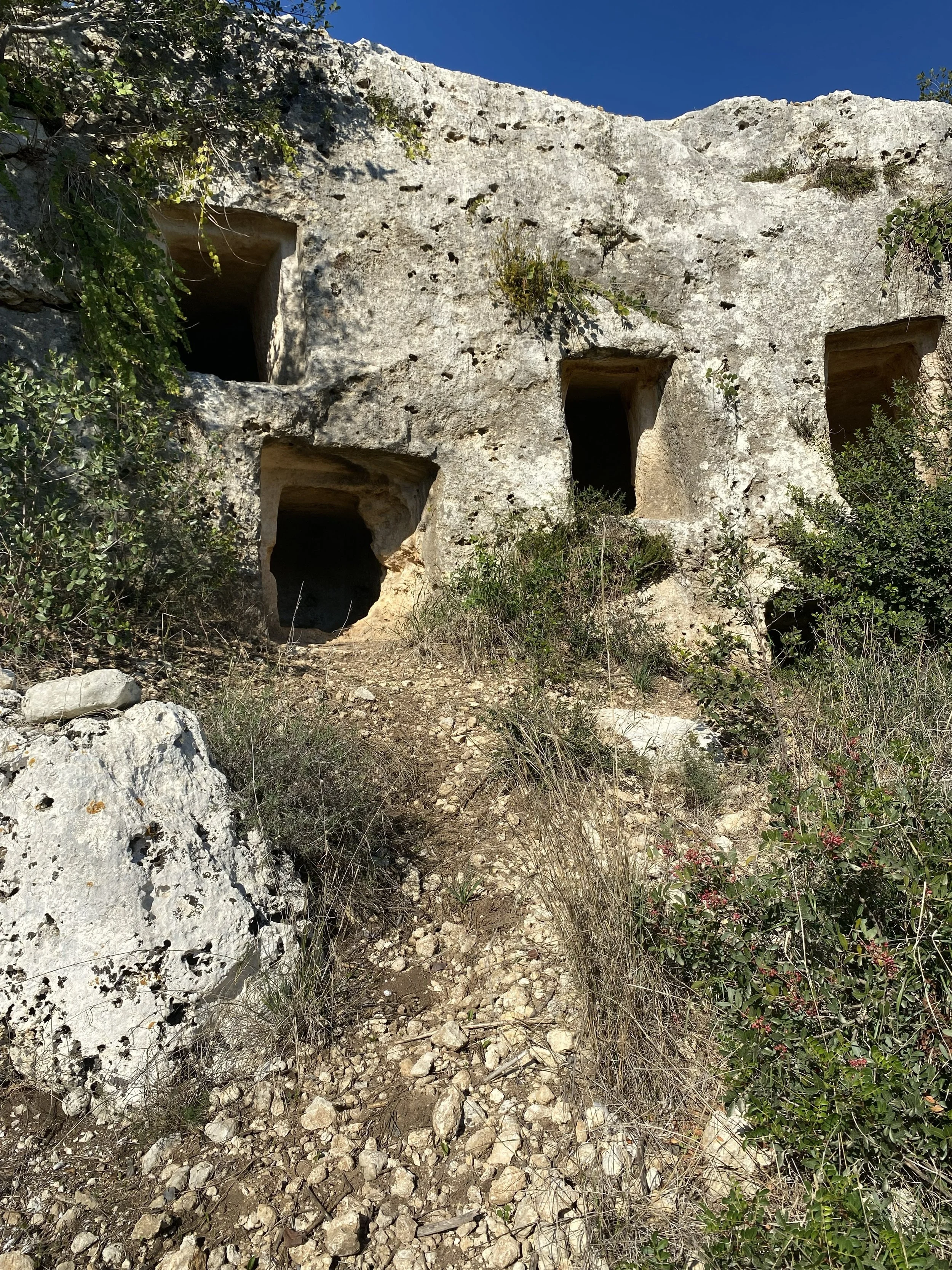 IMG_7801 (1).jpeg