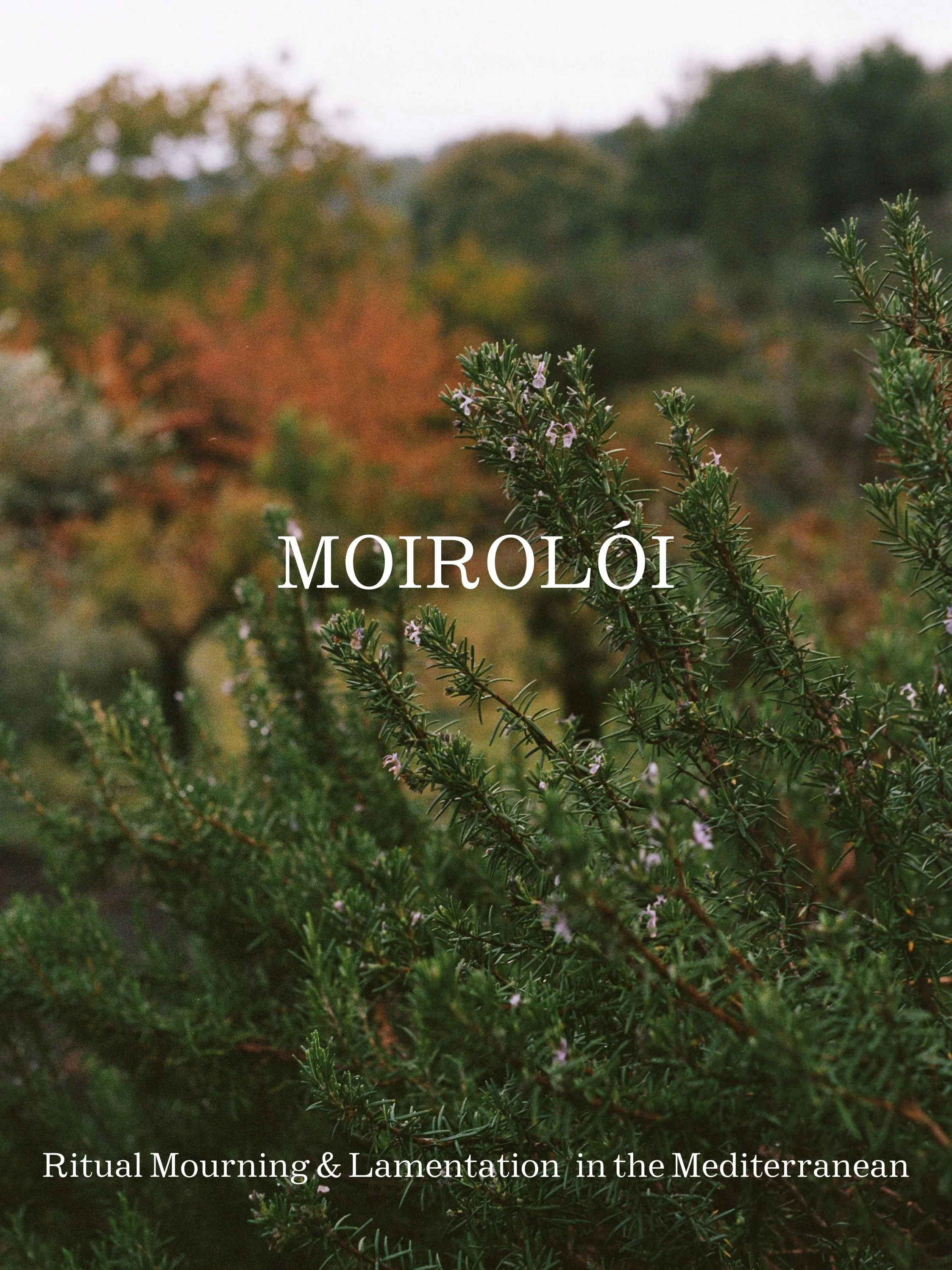 MOIROLÓI : Ritual Mourning & Lamentation in the Mediterranean Autumn Apothecary Box PREORDER