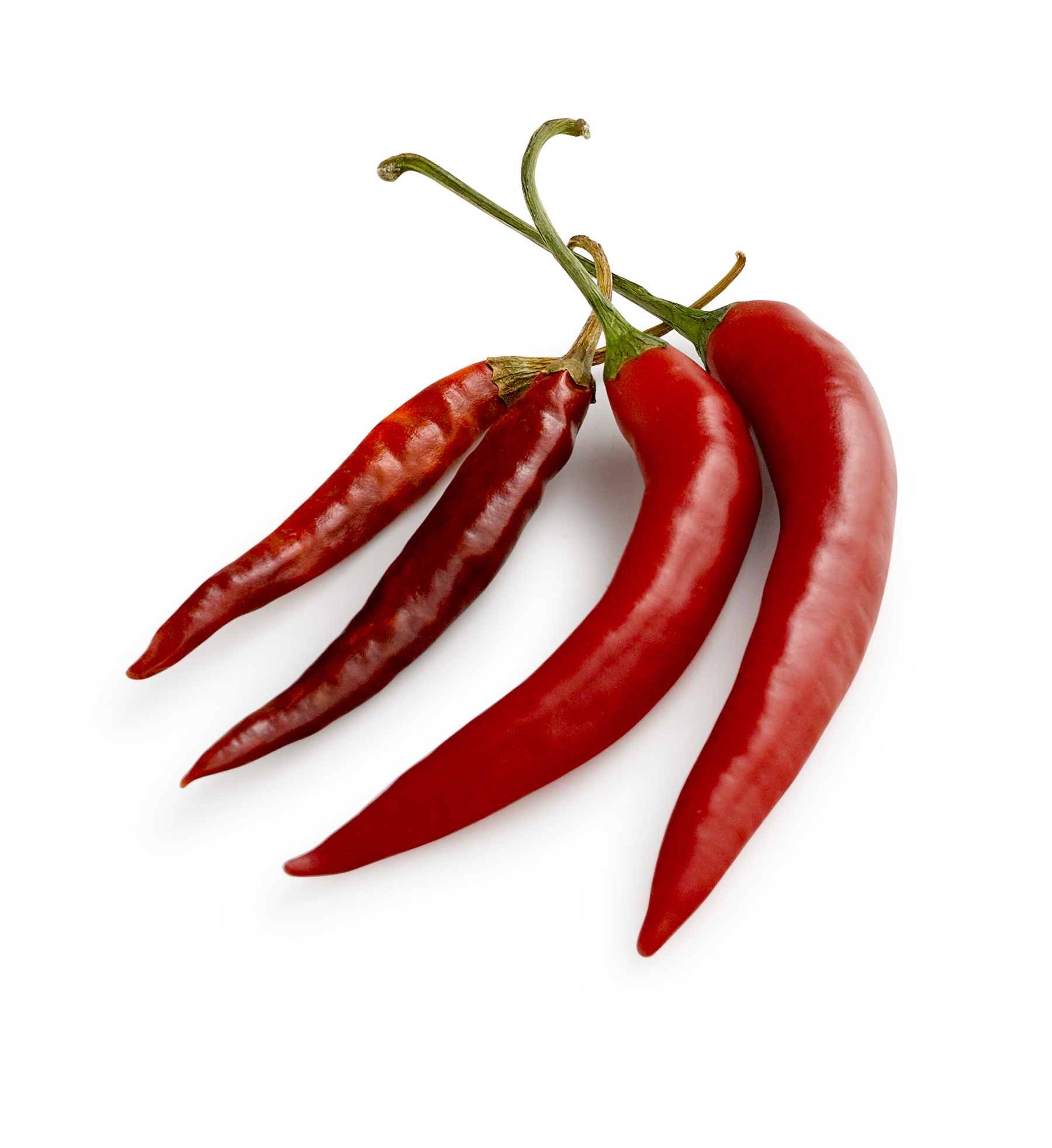PaprikaPepper_2_4.jpg