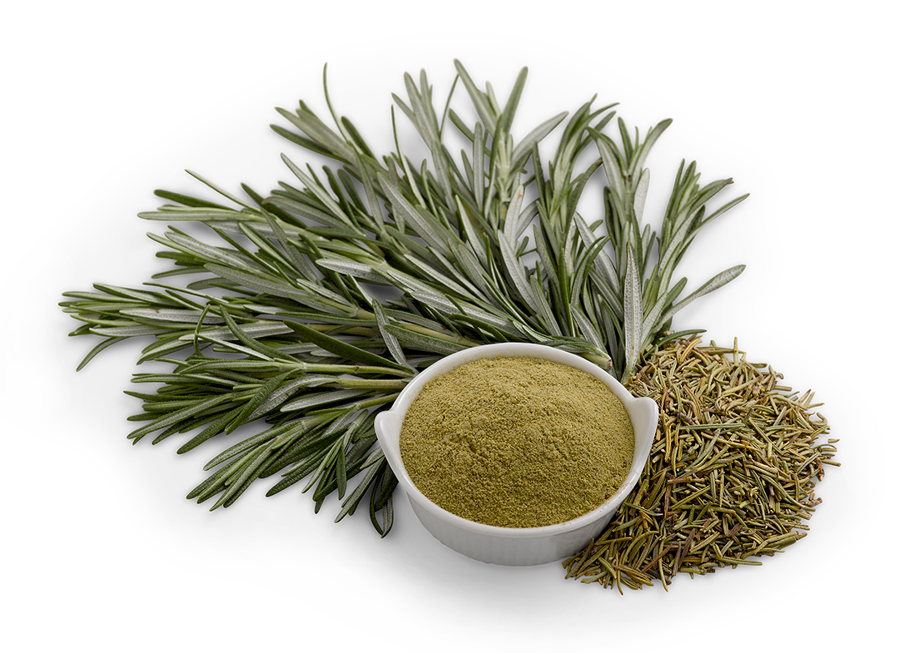 WholeRosemary-WholeRosemaryFresh_WholeRosemaryPowder_2.jpg