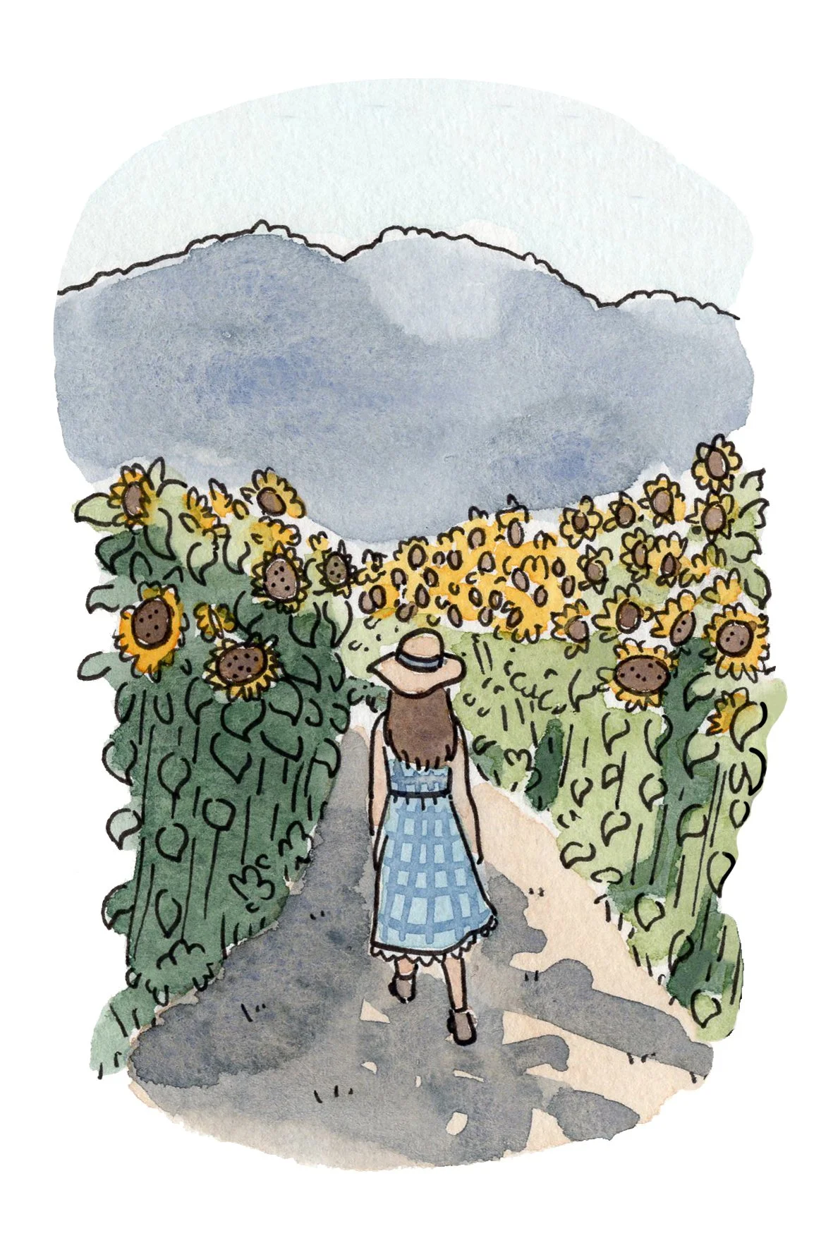Sunflower.JPG