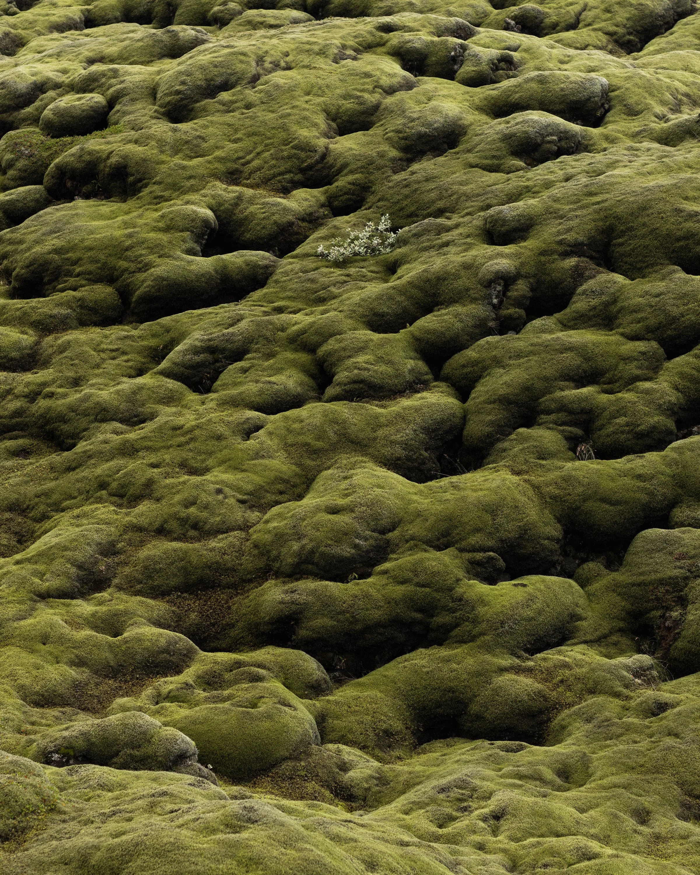 Merel_Klomp_Stone_Scapes_00006.jpg
