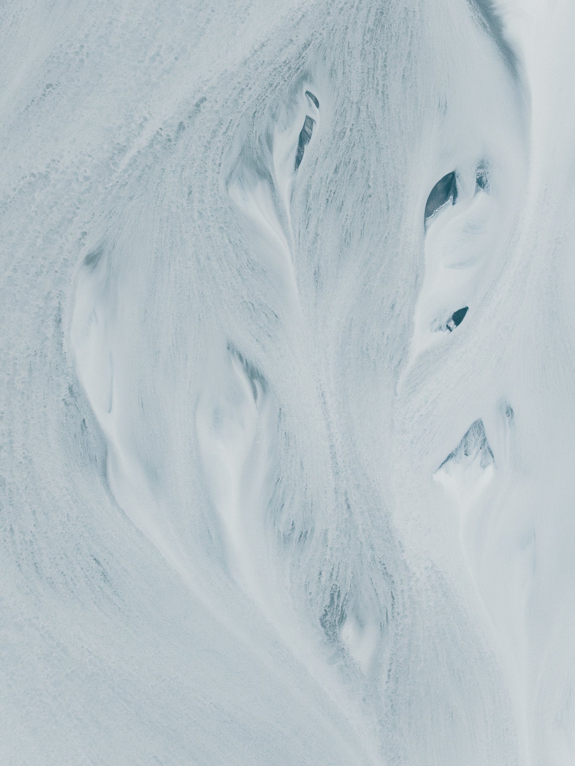 Veins No1