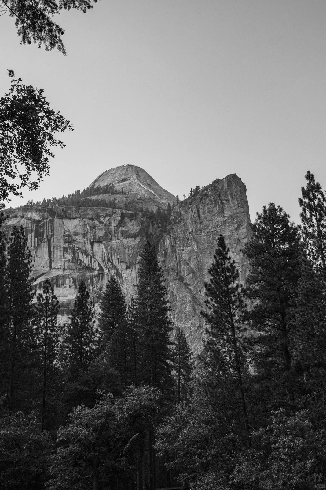 yosemite-2021-144.jpg
