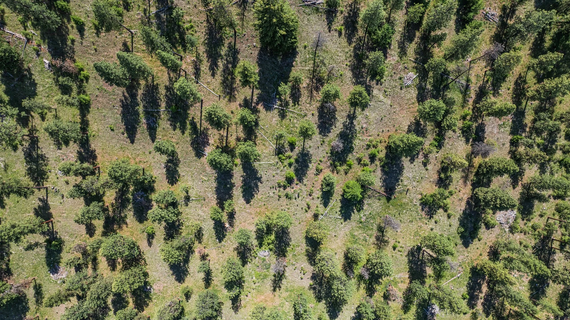 sproul-ranch-drone-8.jpg
